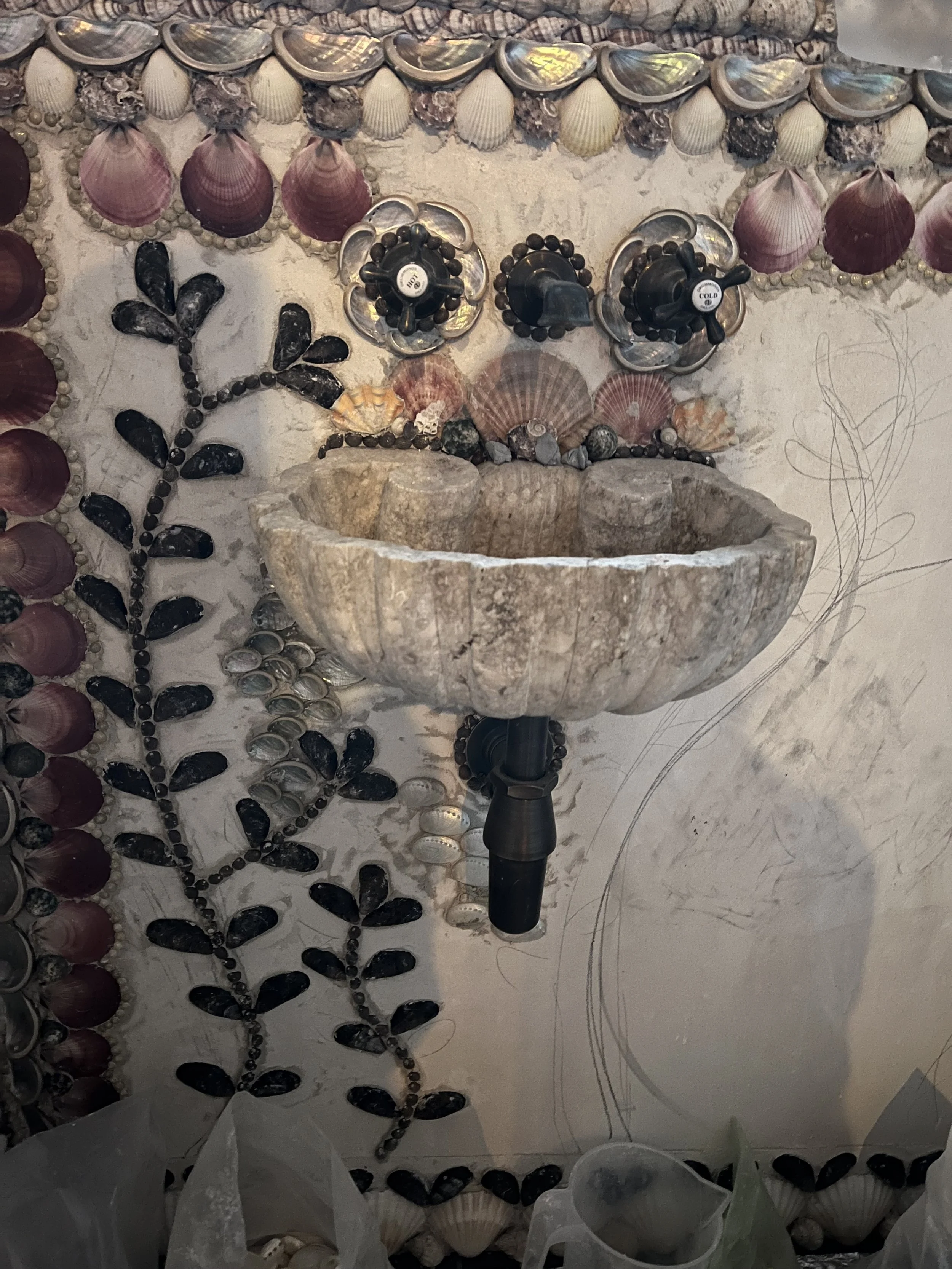 IMG_4201.jpeg