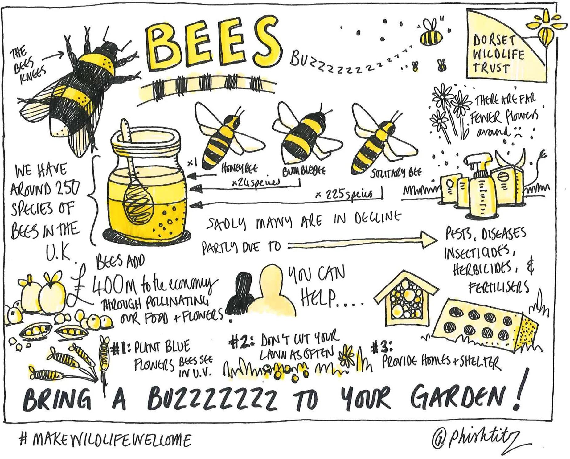 illus_bees2.jpg