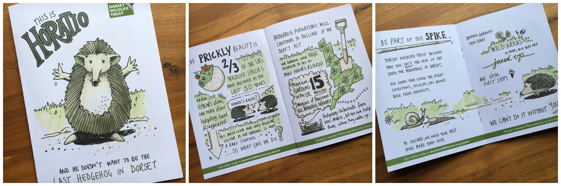 illus_horatio2W.jpg