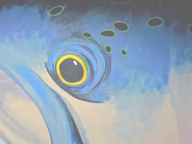 Trout wall timelapse