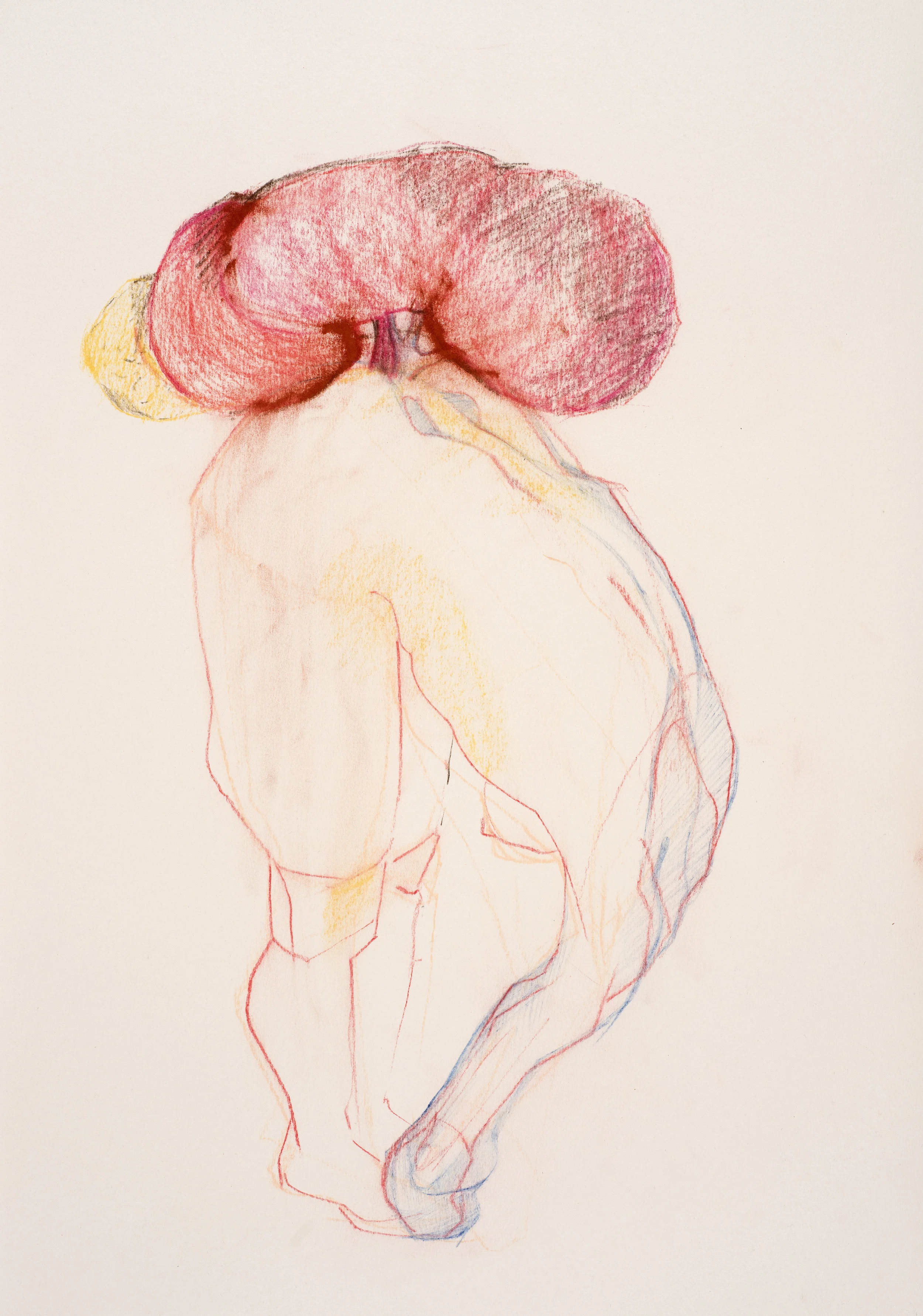 pastel on paper 35 x 49.6cm