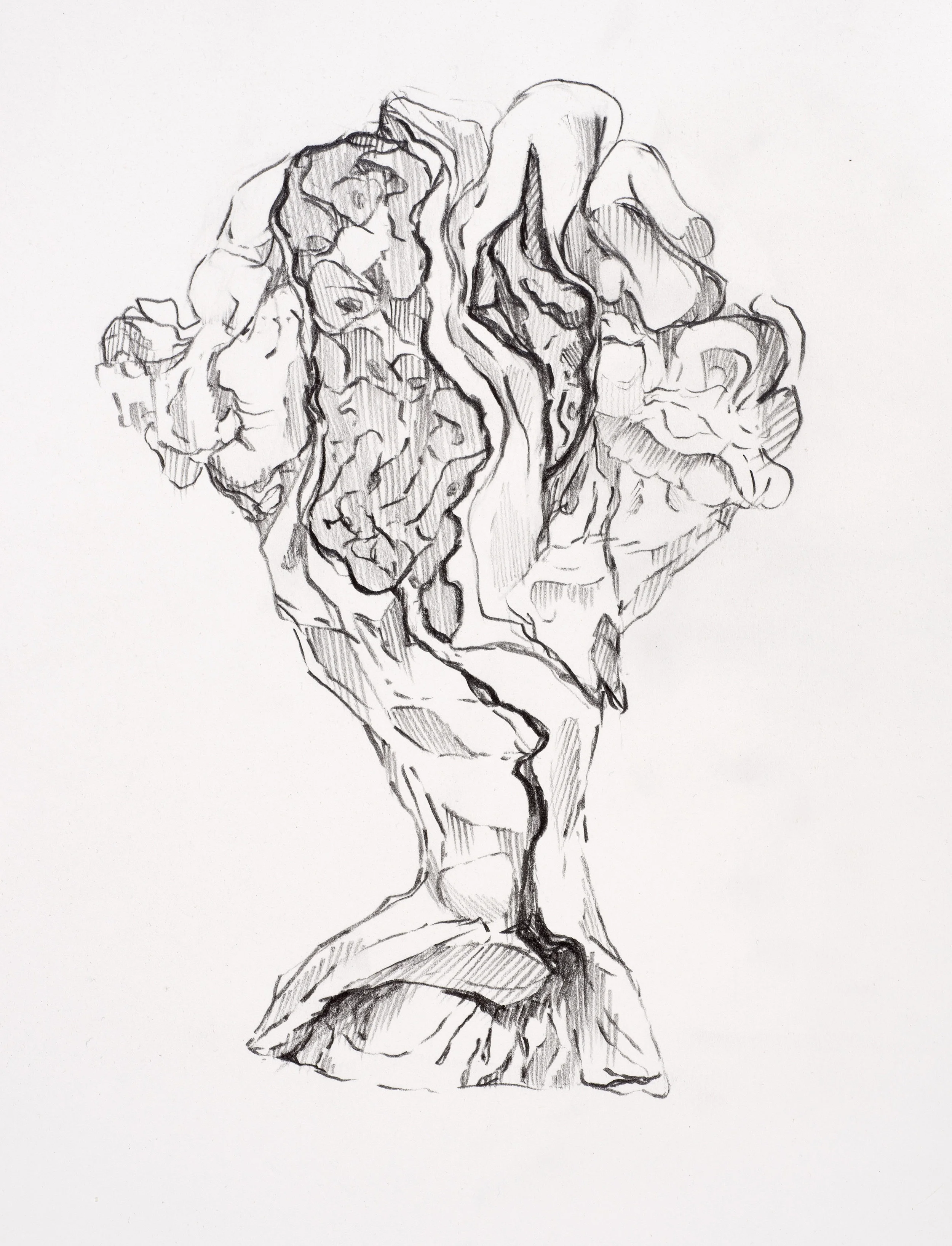graphite on paper A4