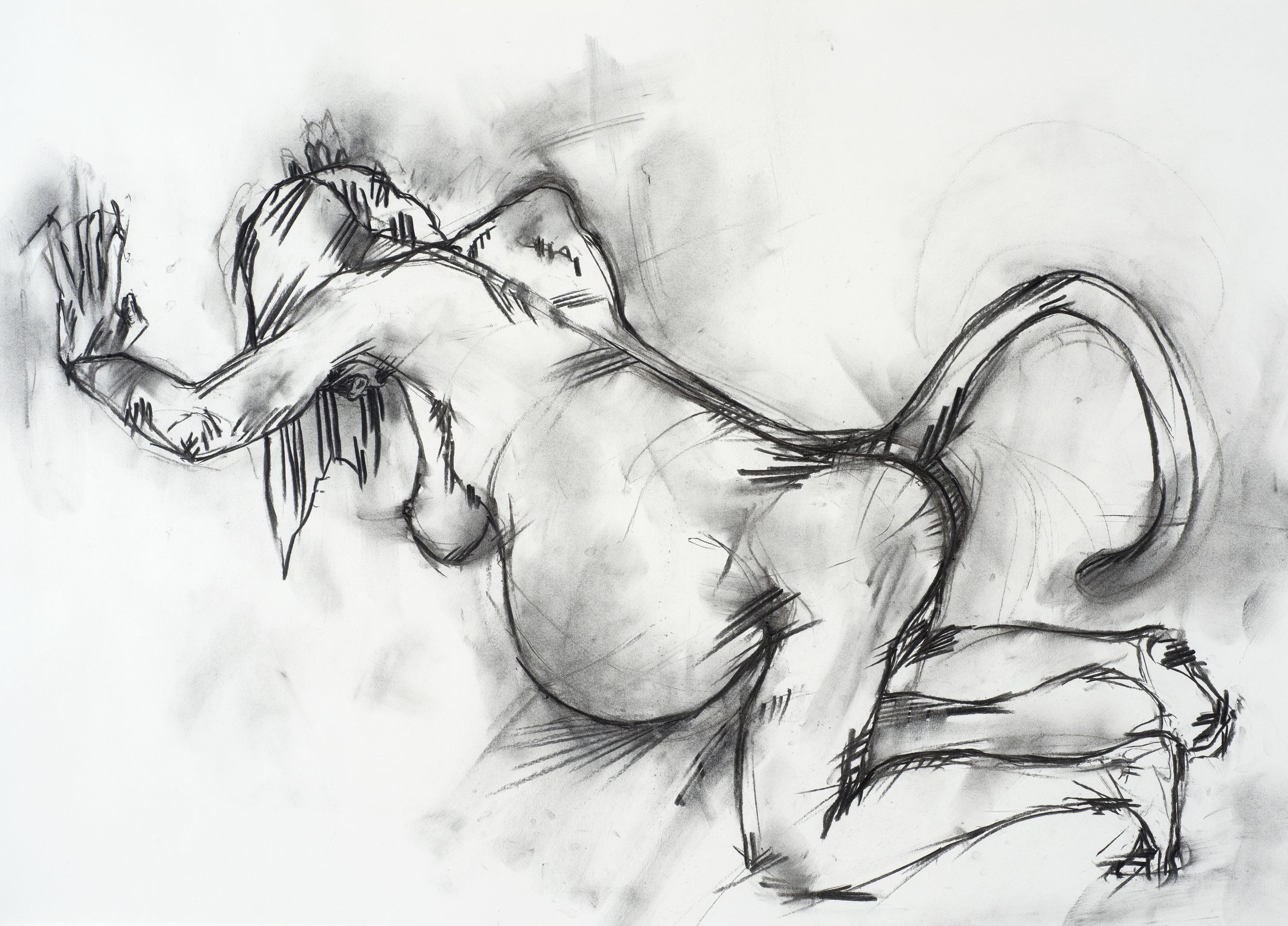  charcoal on paper  68.5 x 48.8cm 