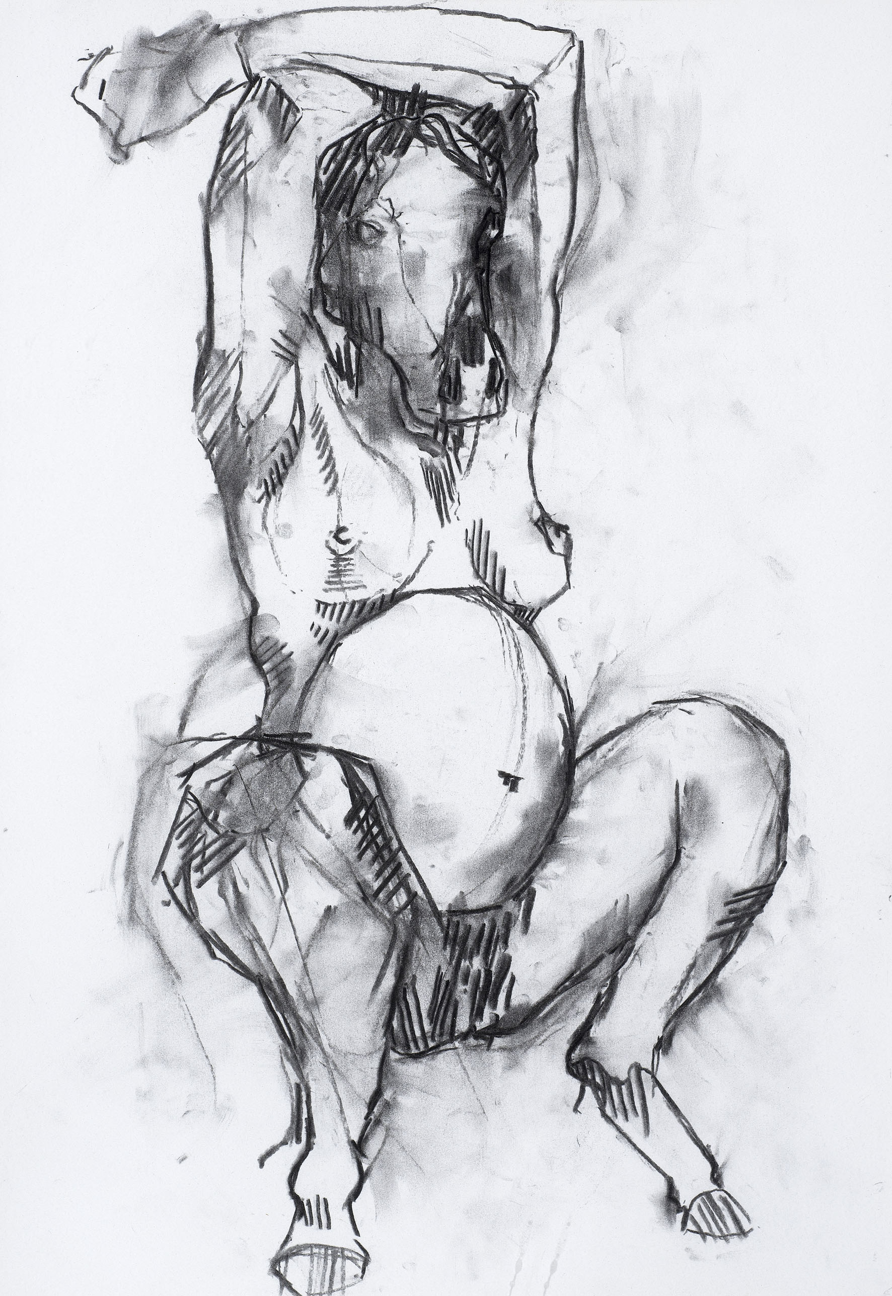  charcoal on paper  28.3 x 40.8cm 
