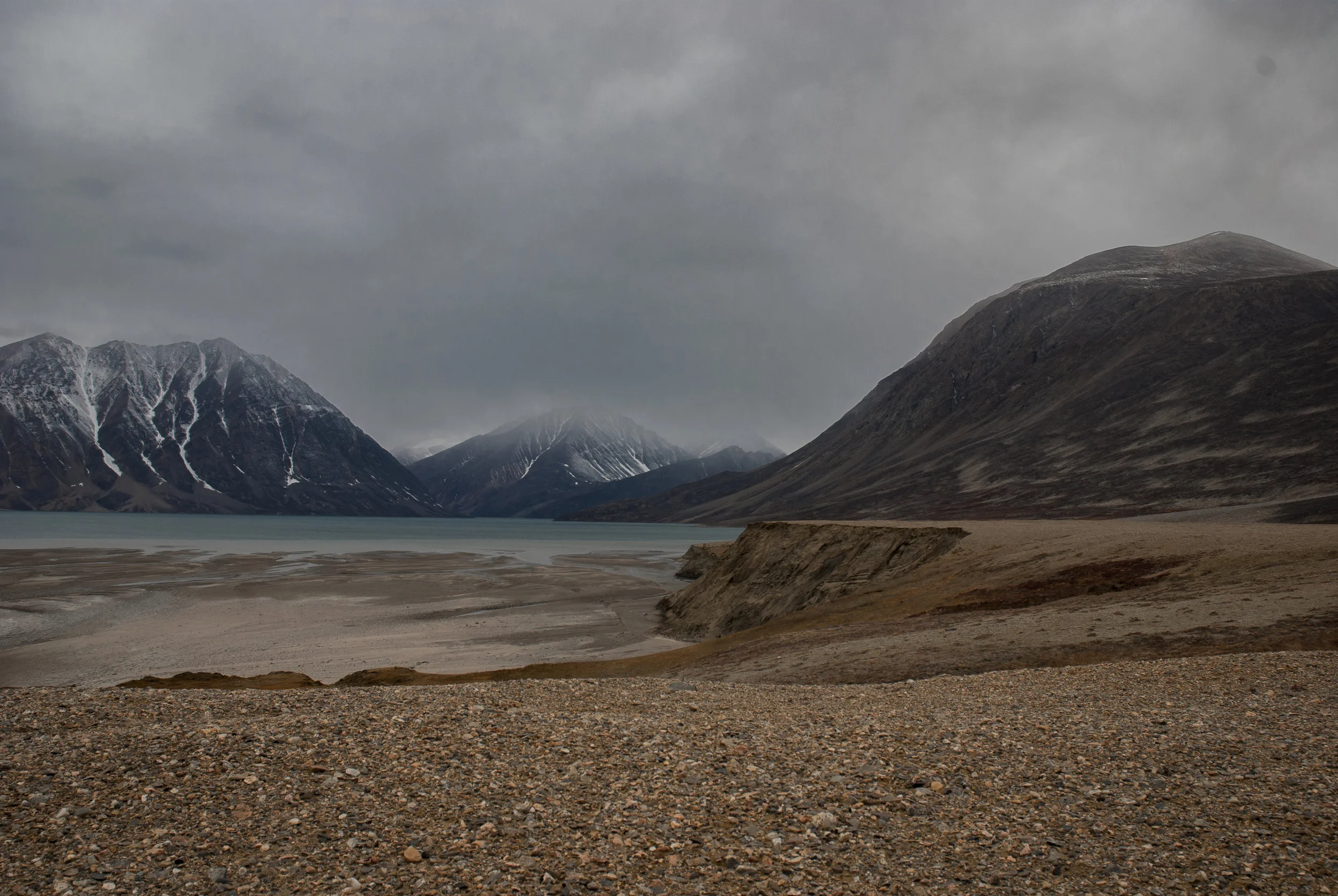 Zackenberg, NE Greenland 2017