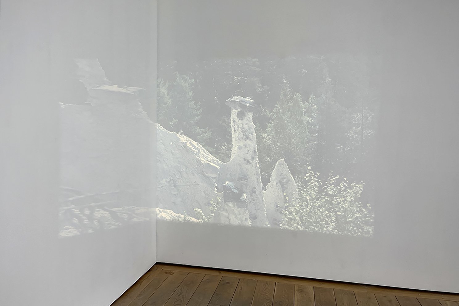   Kvitskriuprestan  (2023), slide image intallation, mixed media. 