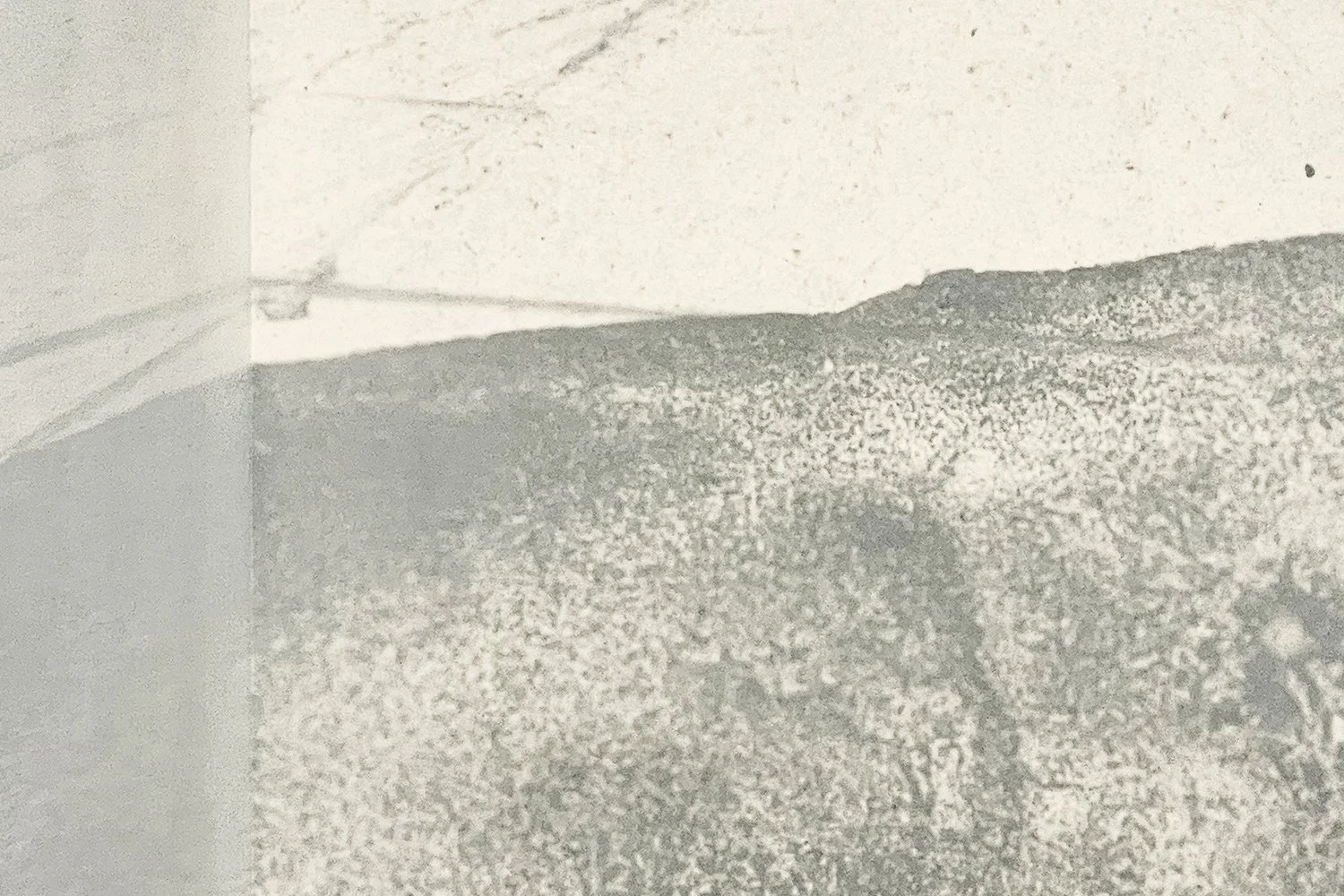   Kvitskriuprestan  (2023), slide image intallation, mixed media. 