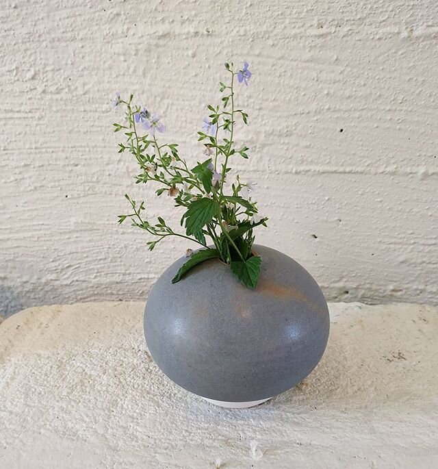Vase for gode sommerdager🌿☀️ #vase #porselen #keramikk #keramikkverksted #schj&oslash;lbergg&aring;rden #sommer #blomsterglede