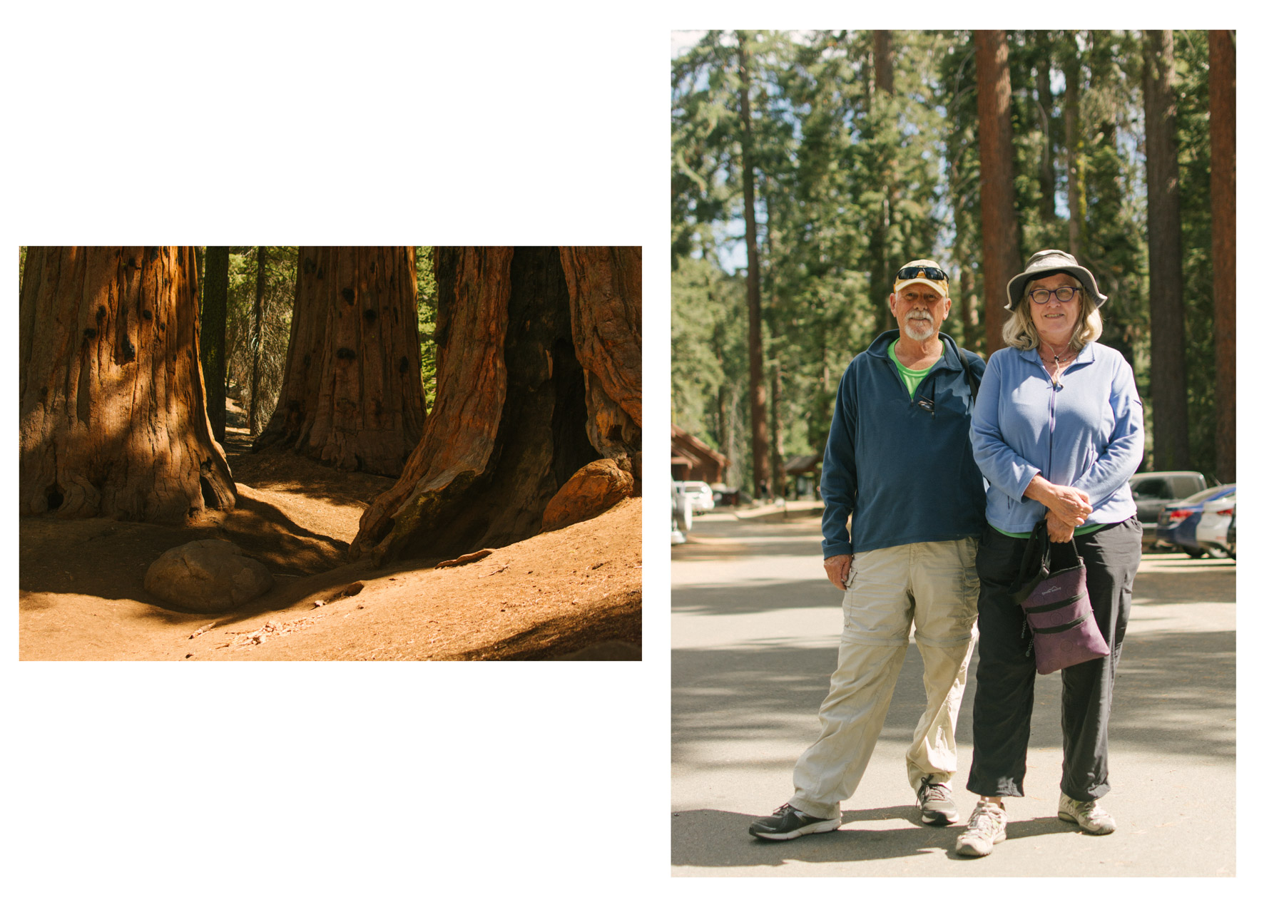 Sequoia National Park