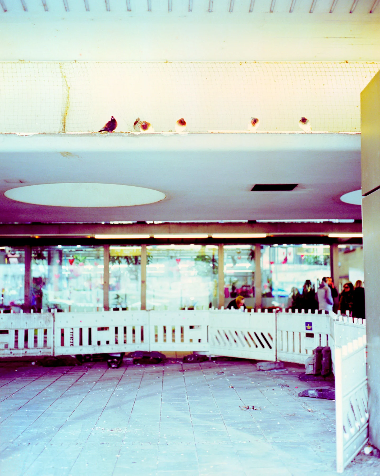 Birds at main station Munich