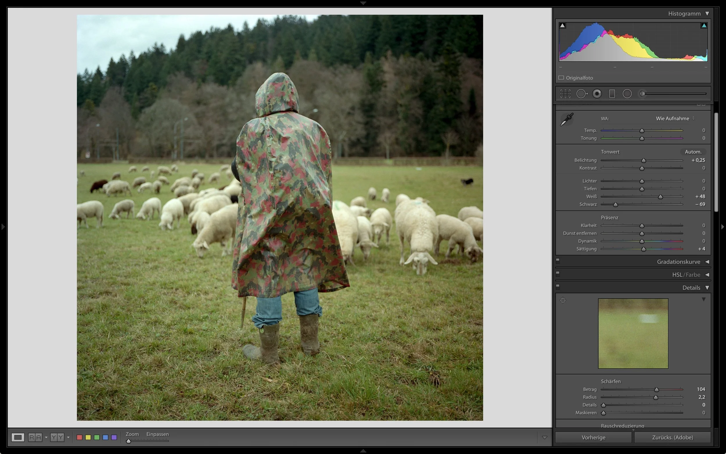 Final adjustments in Lightroom.