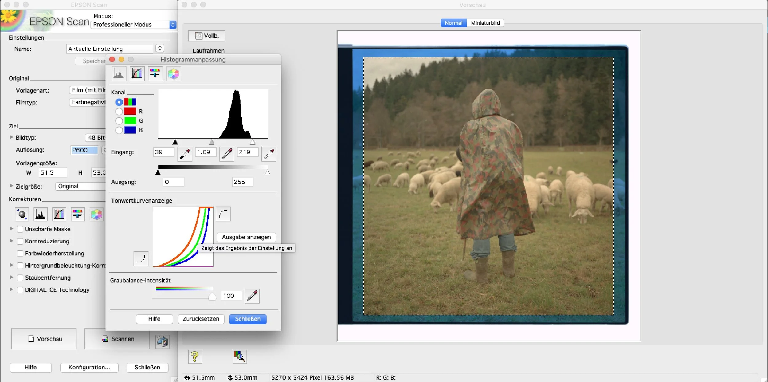 The not so definitive Guide to Scanning Film