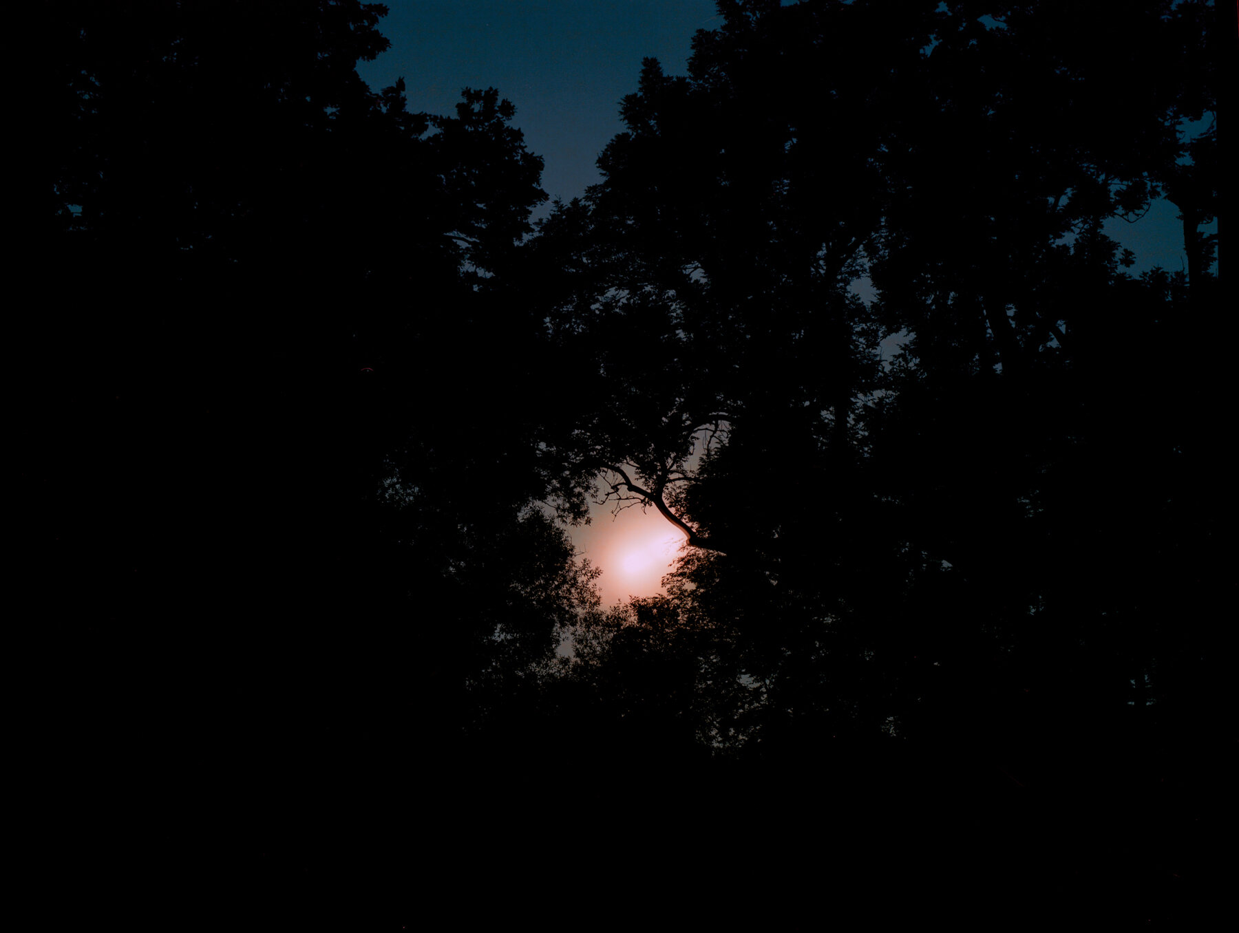 Der Mond überm Oberstjägermeisterbach (23:55-00:01)