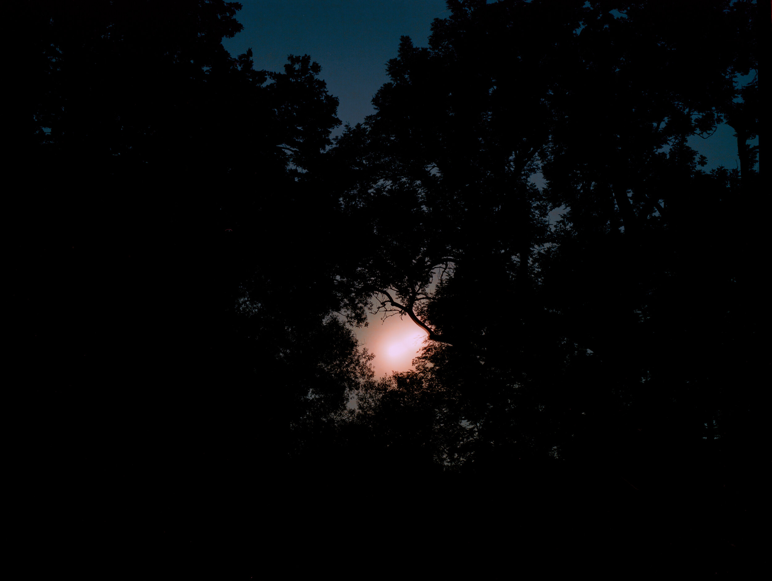 Der Mond überm Oberstjägermeisterbach (23:55-00:01)