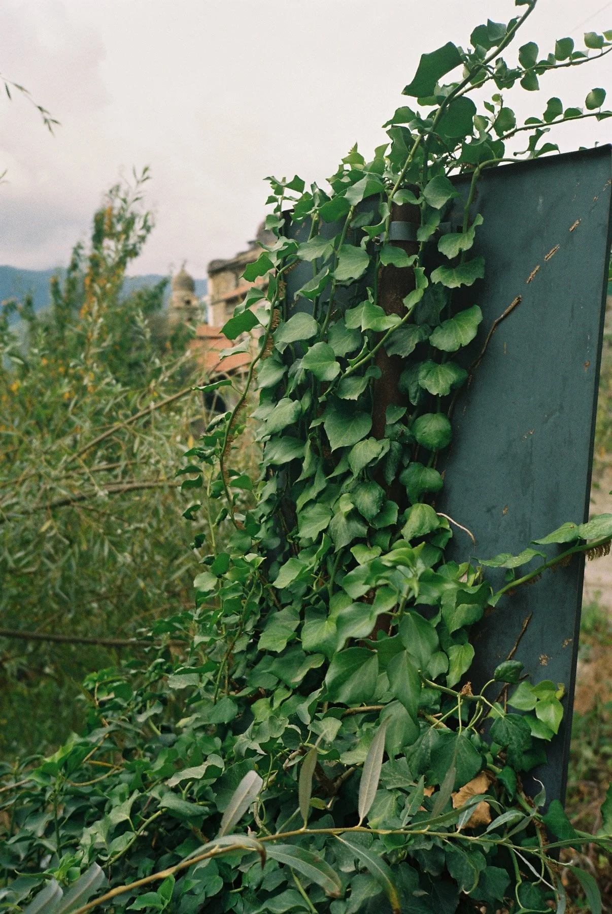 007-Roll1_00000017.jpg