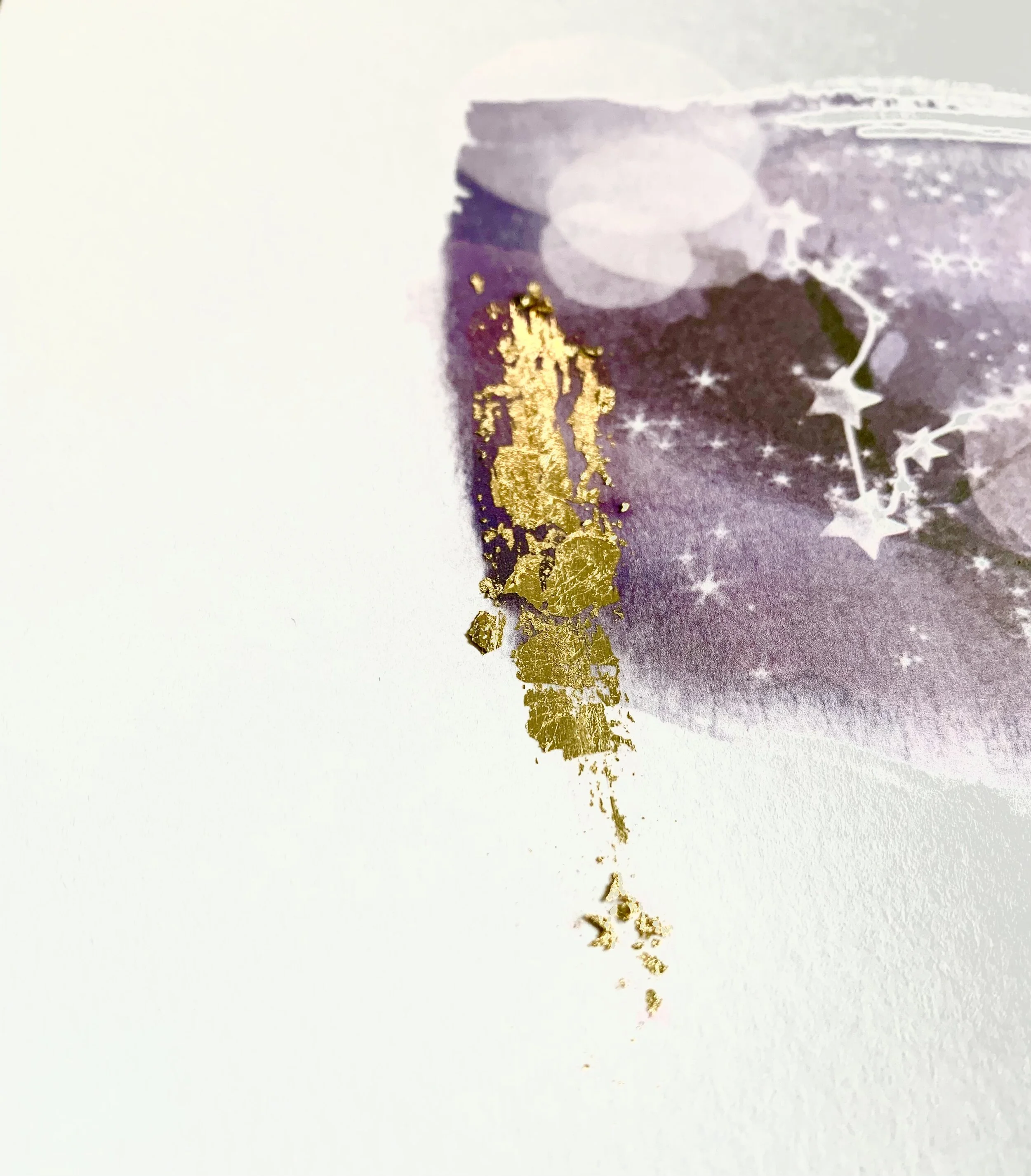 zodiac foil close up.jpg