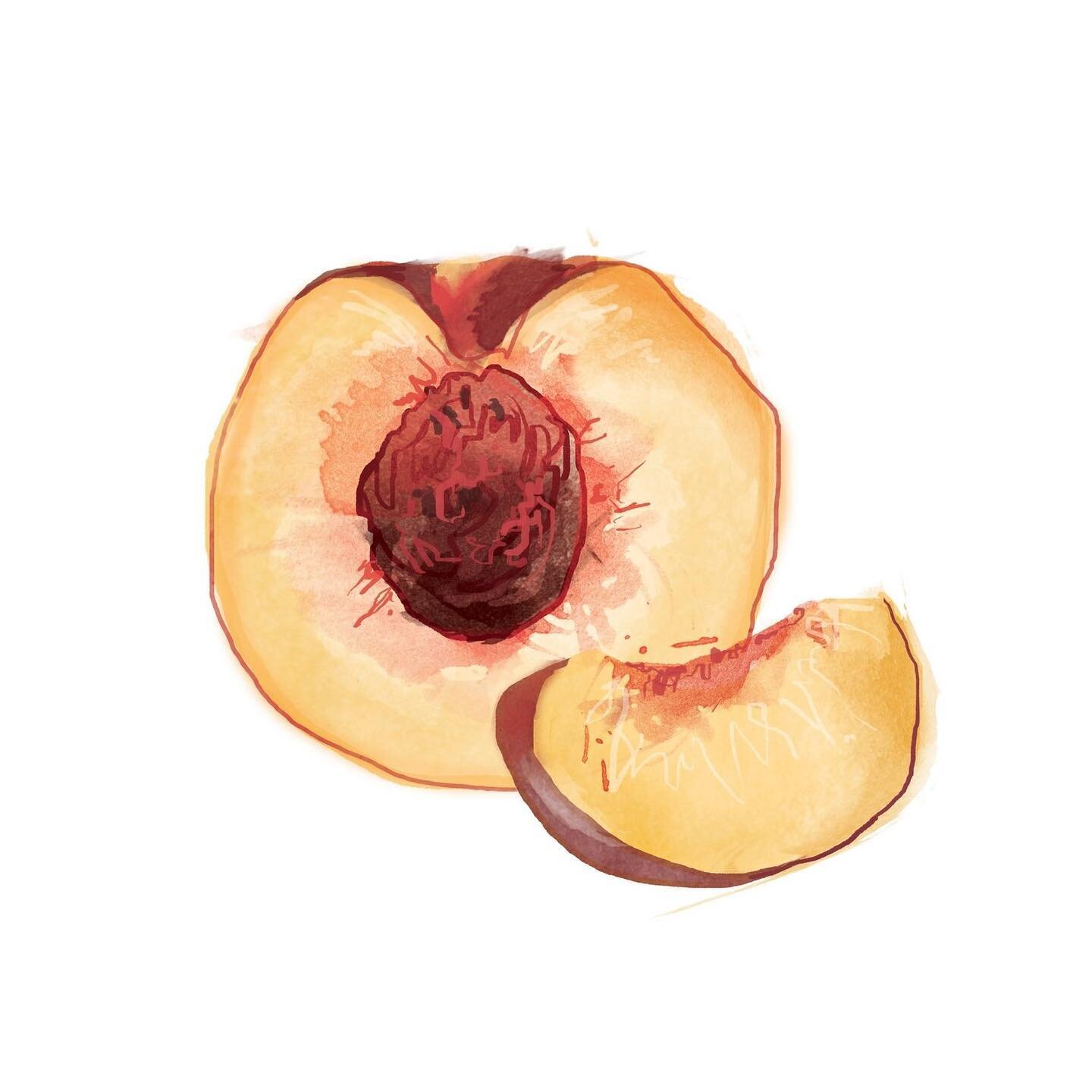 A tasty slice of peachy goodness for your feed&hellip;this juicy summer delight is very much my colour vibe at the moment 🍑🧡✨🤣

#peach #foodillustration #eattherainbow #flavour #colourtheory #summervibes #fruitart #grilledpeaches #watercolourillus