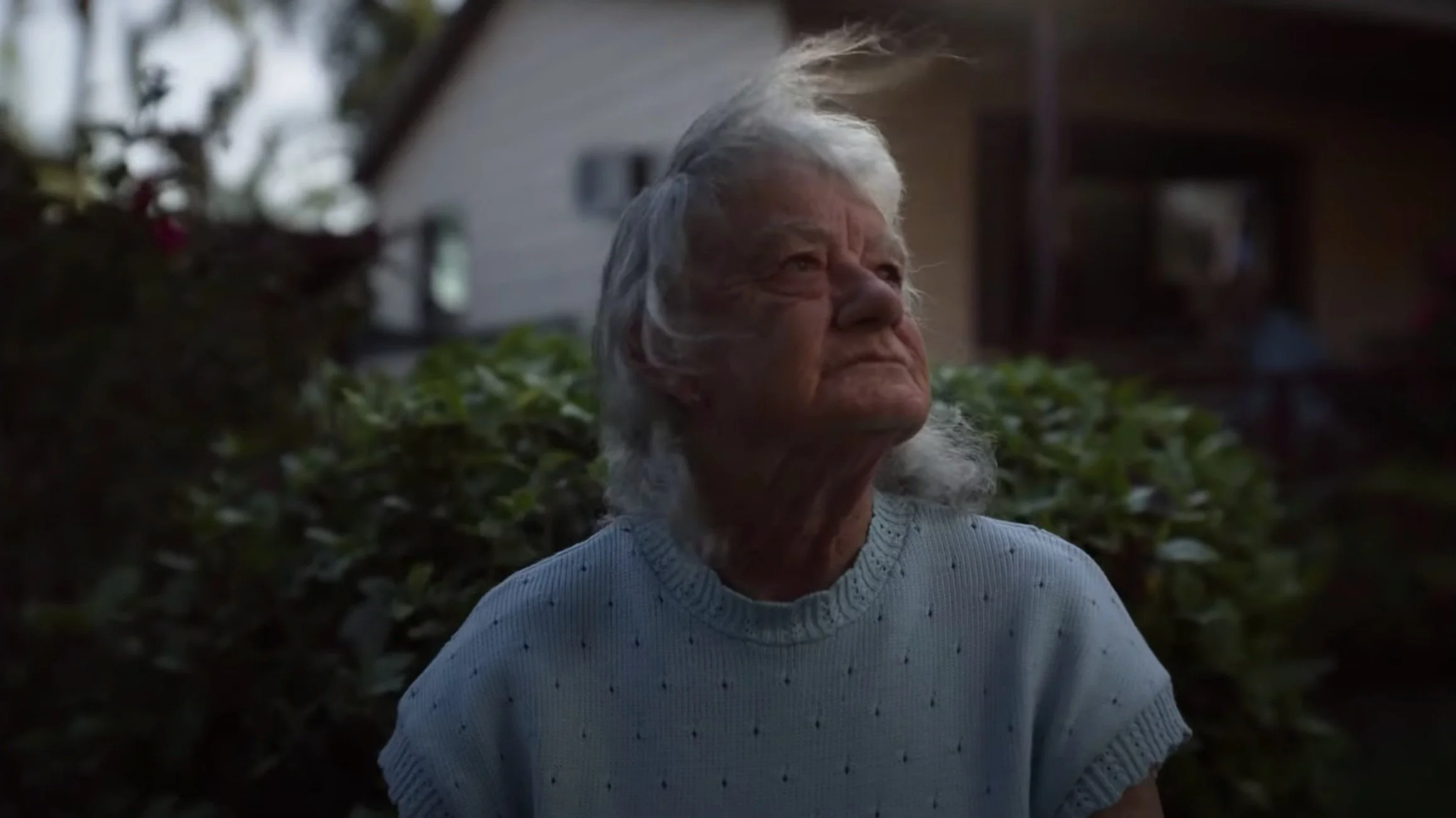 Live Bush Fire Ready