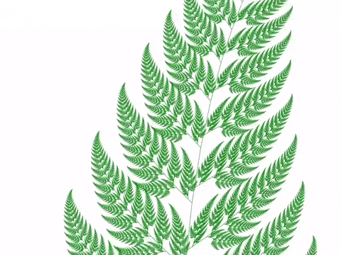 ezgif.com-optimize.gif