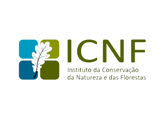 ICNF LOGO.png