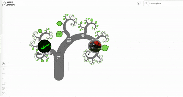 tree-of-life-fractal.gif