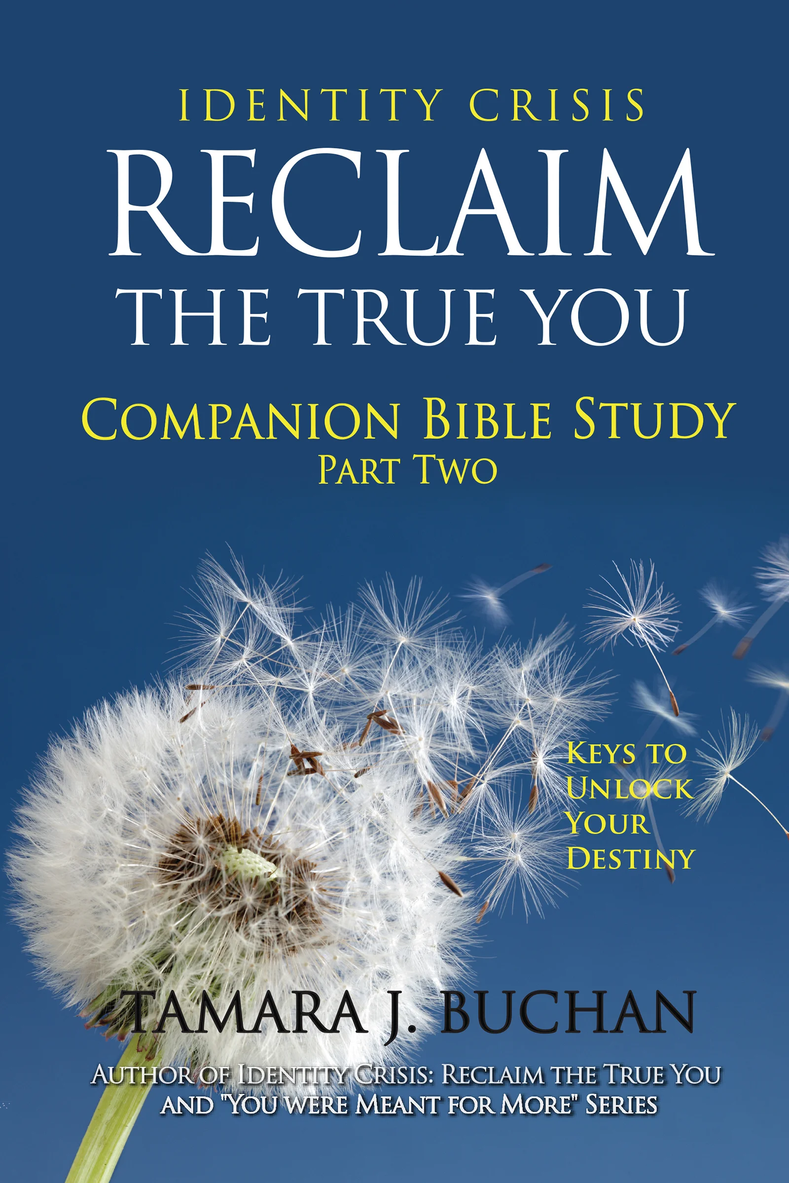 Identity Crisis:  Reclaim the True You Companion Bible Study, Part 2 Keys to Unlock Your Destiny
