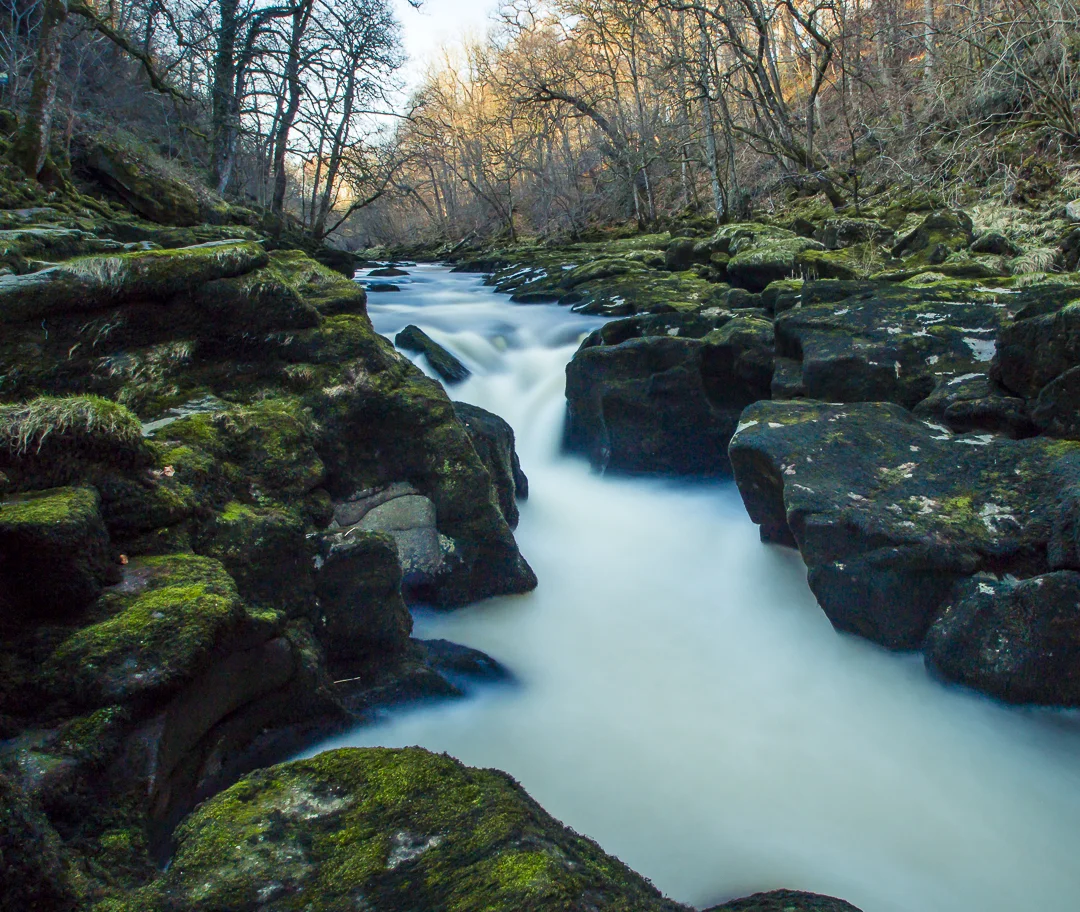 _MG_2624.jpg