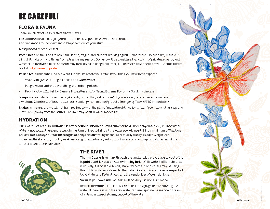 Flipside 2025 Survival Guide_Page_17.png