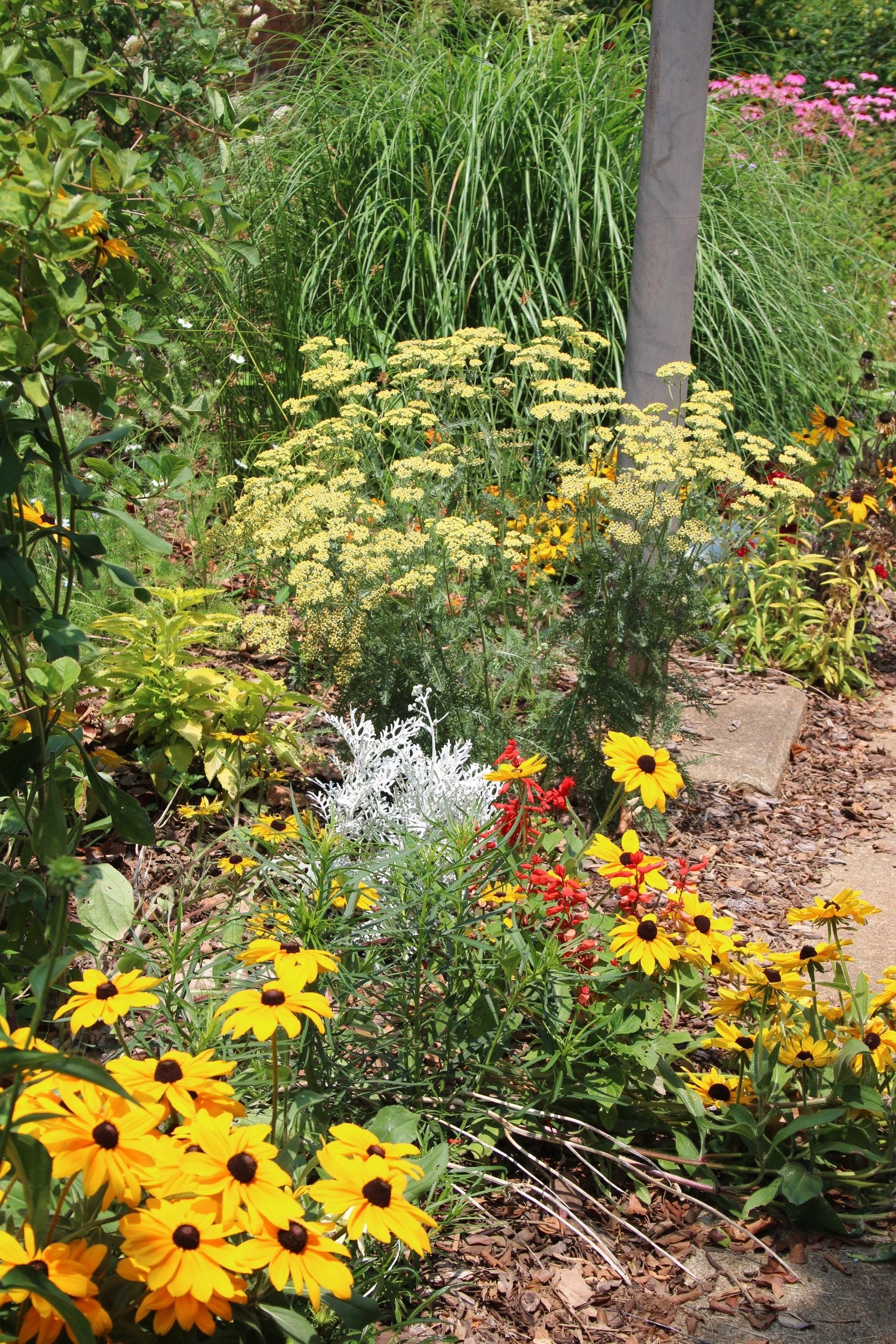 Flower Pot Brush - Longwood Gardens