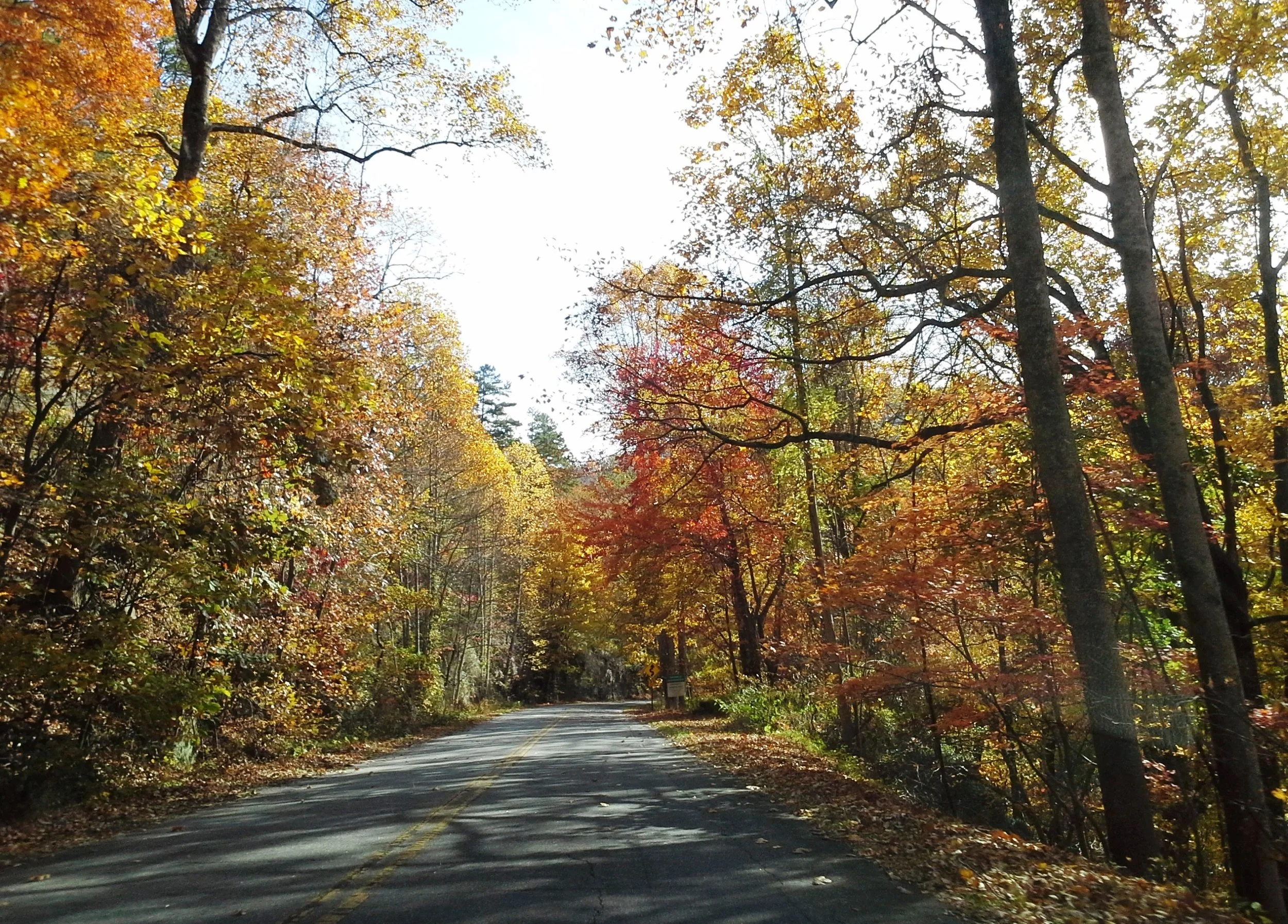 Autumn drive 14.jpg