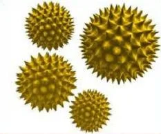 This is what magnified pollen particles look like. Is it any wonder that our sinuses protest being invaded?