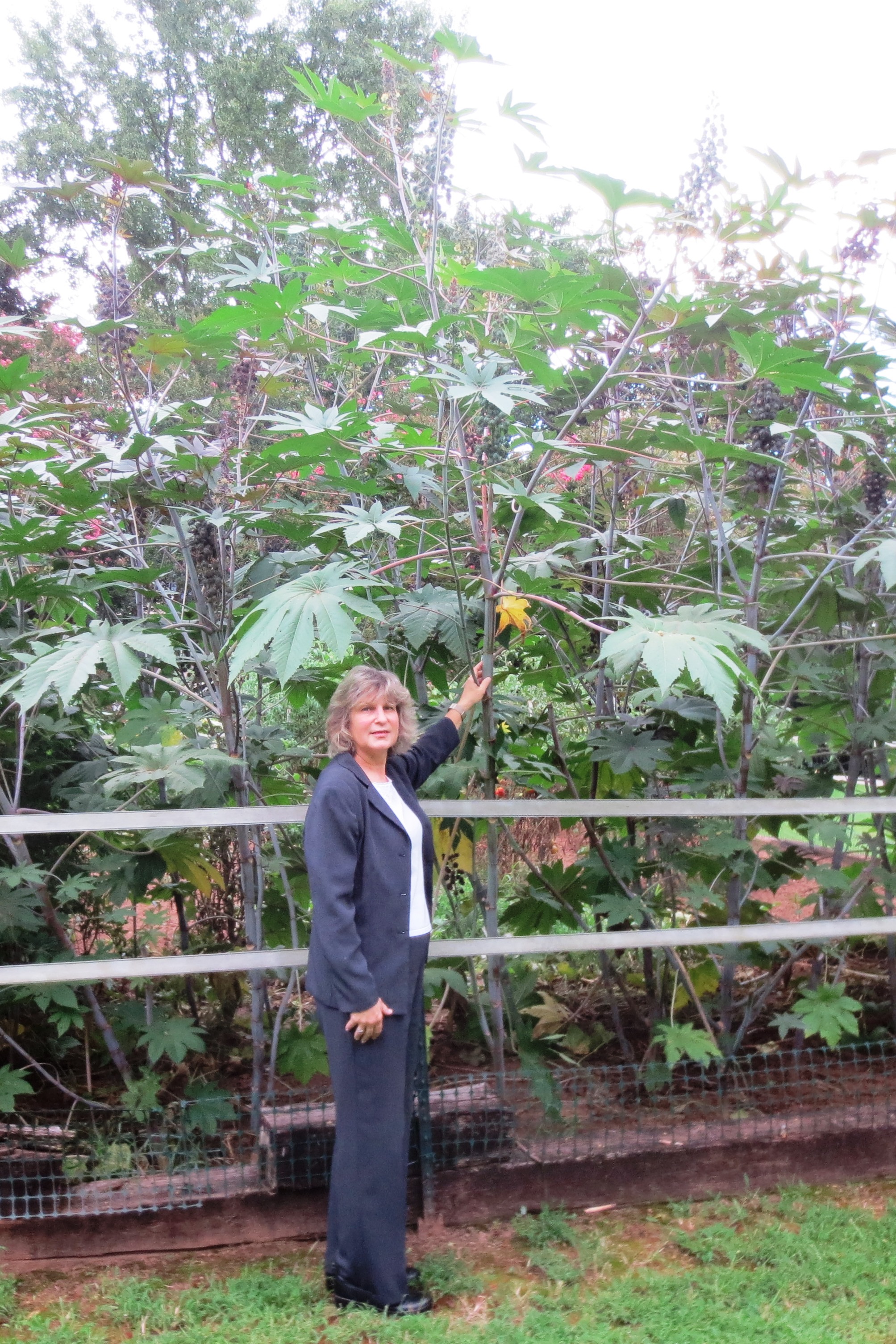 Mary Snoddy with Castor Bean plant.jpg