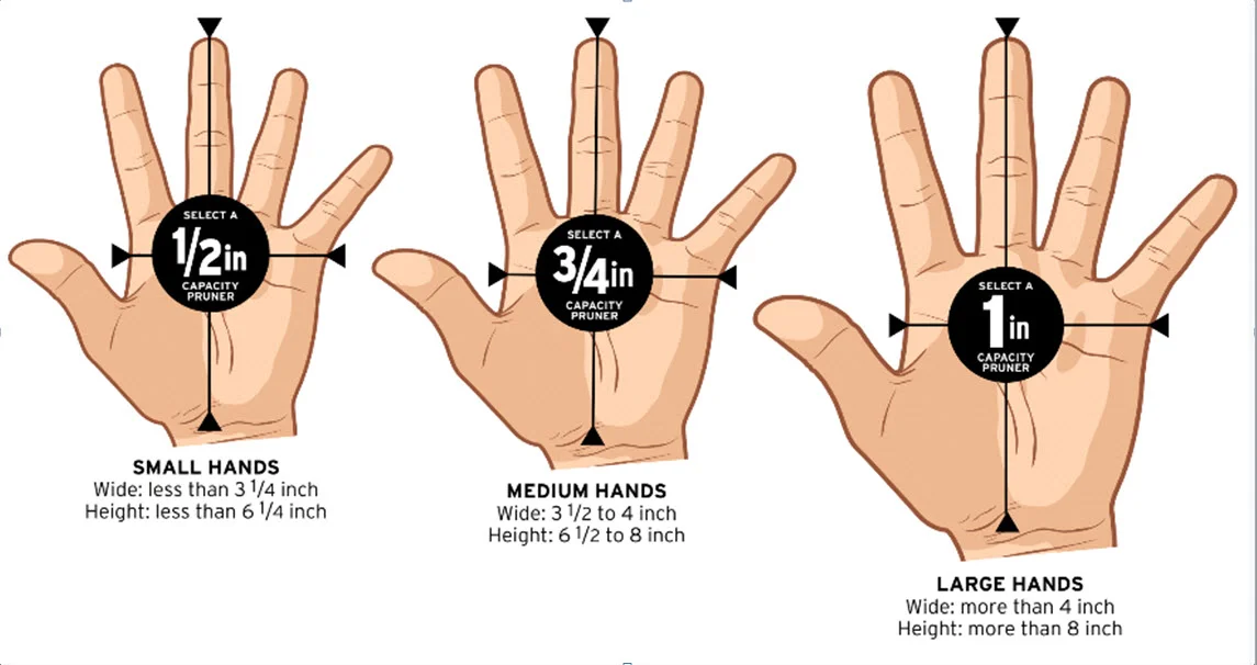 Hand dimension indicates best pruner capacity size