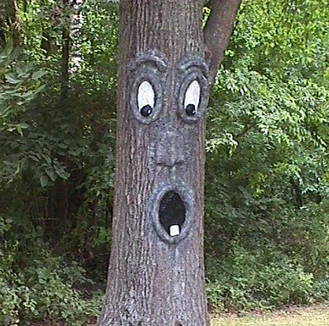 Build Your Own "Tree Face"