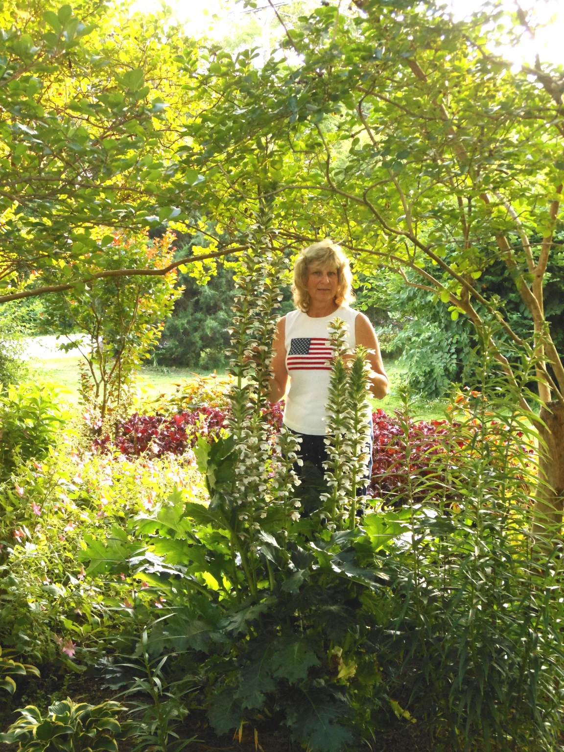 Mary Snoddy and Acanthus mollis ‘Rue Ledan’