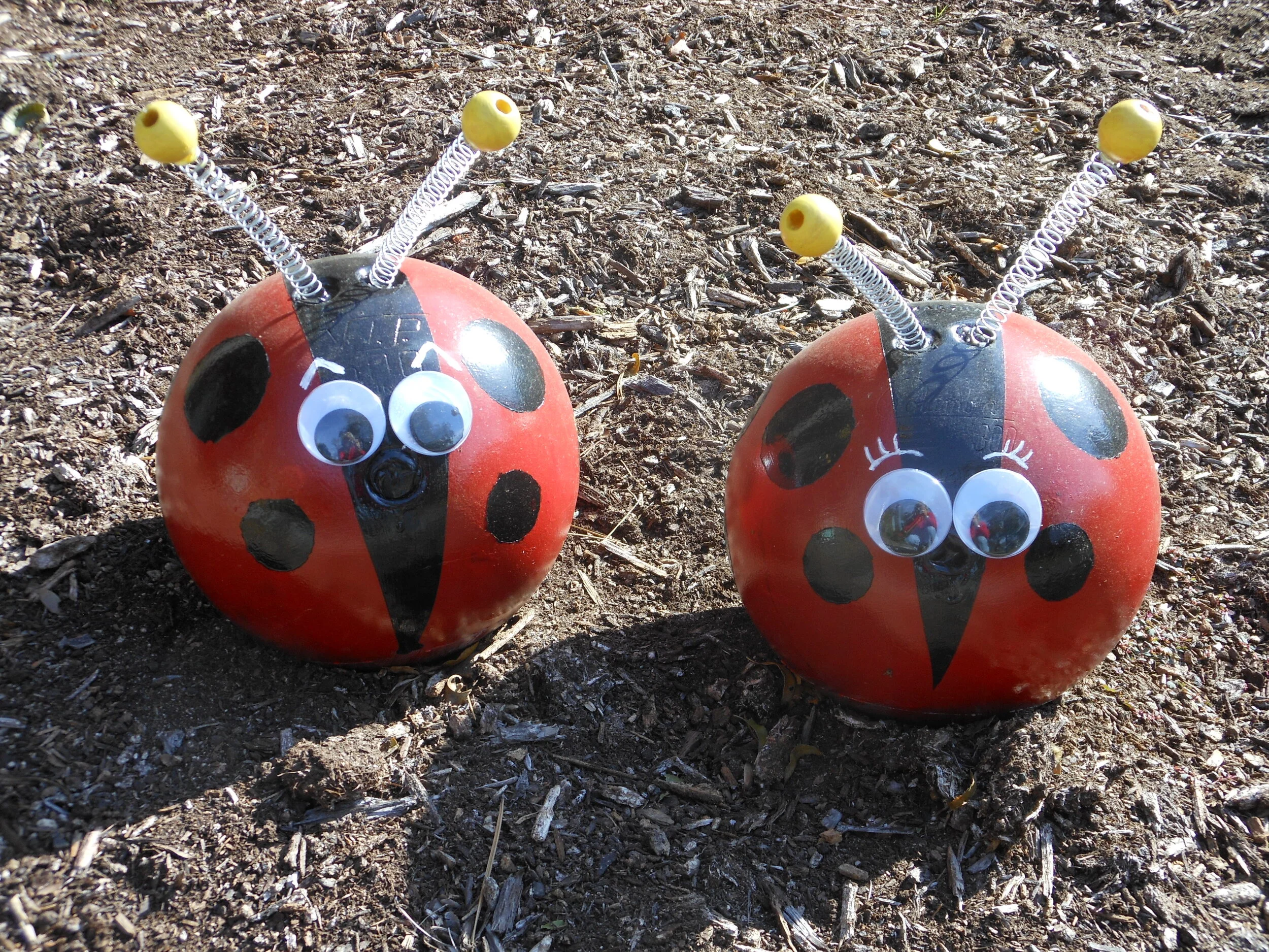 Make Your Own Garden Ladybug