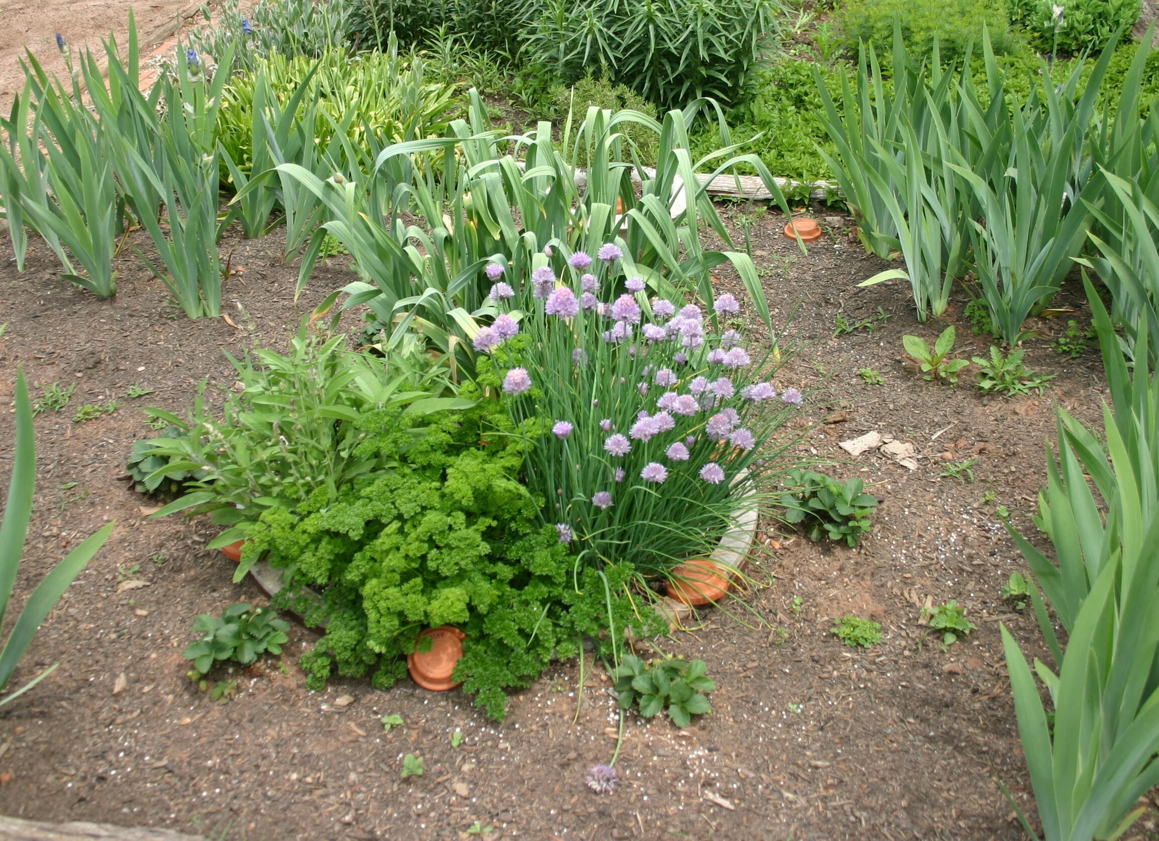 Wagon-Wheel Herb Garden