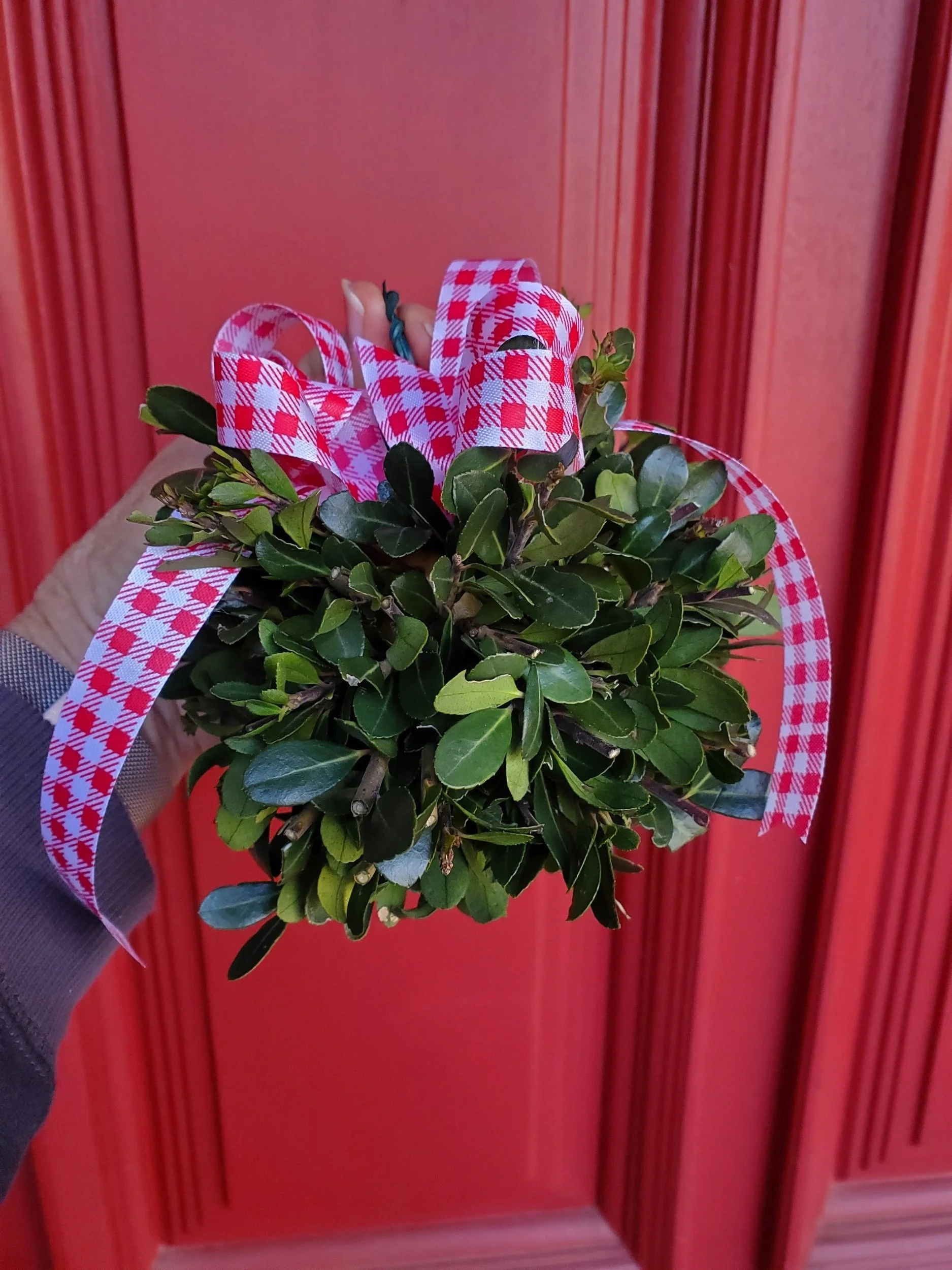 Make An All-Natural Kissing Ball