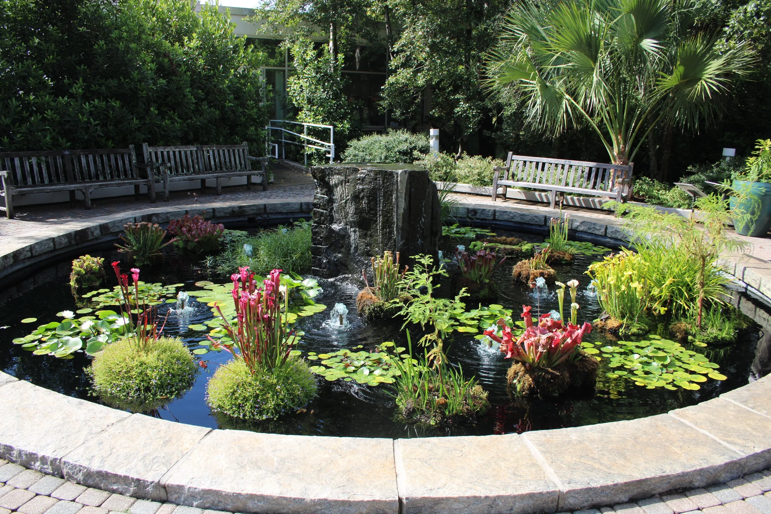 Pitcher Plants: Insects Check In, But Never Check Out