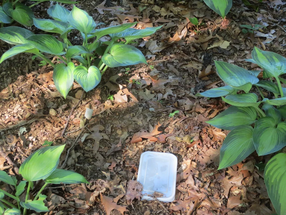 Milorganite sachet in 'June'