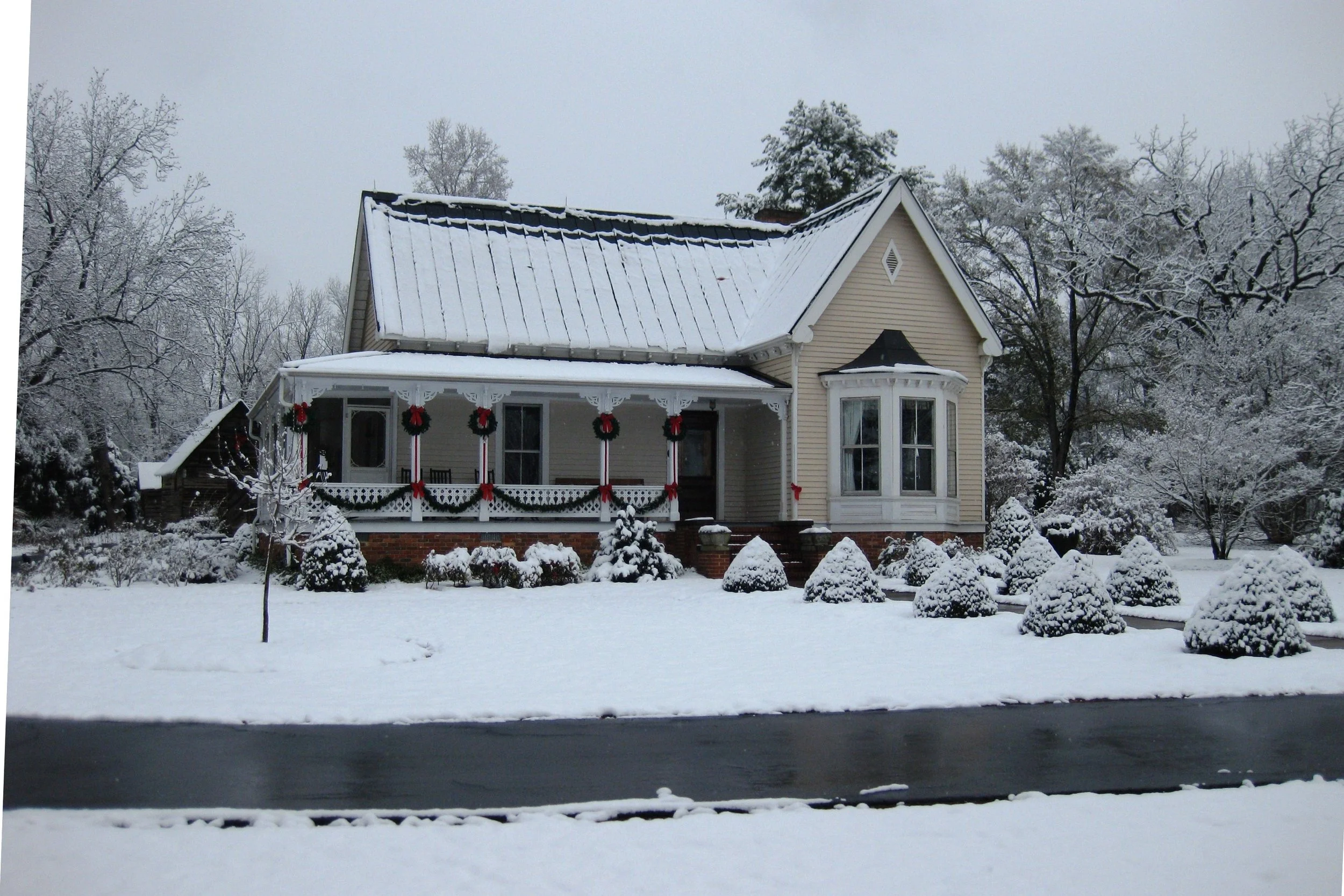 Light snow on conical topiares