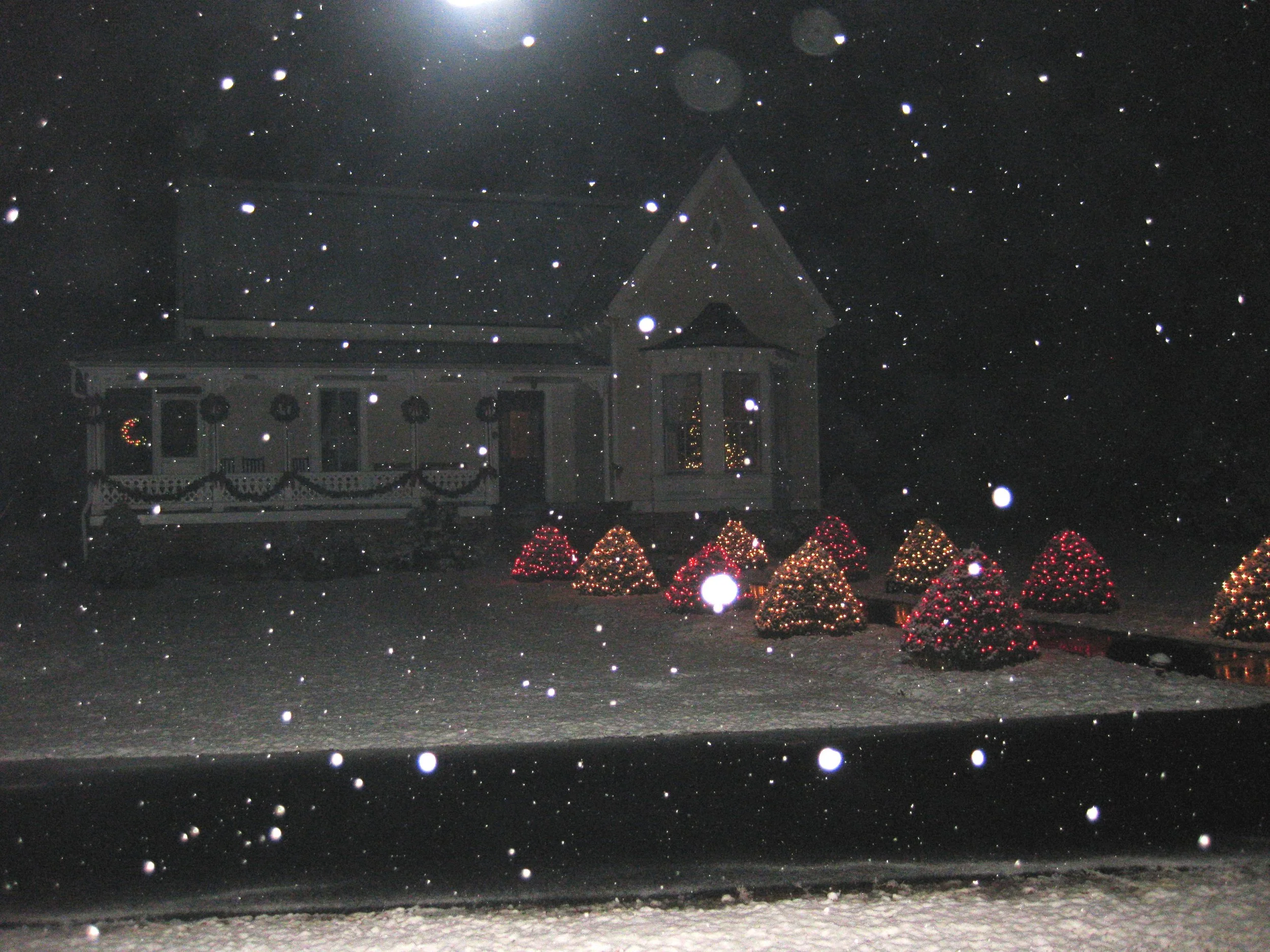 Snow at night on "gumdrop" topiaries