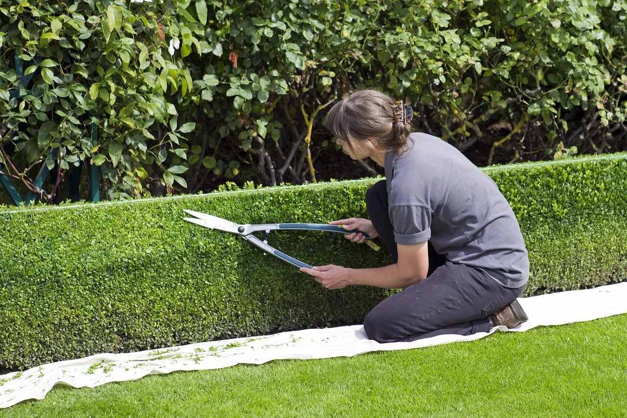 Ready, Set, Prune