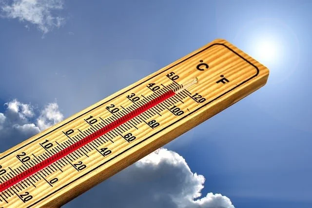 Help Your Garden Survive a Heat Dome: Summer Gardening Tips