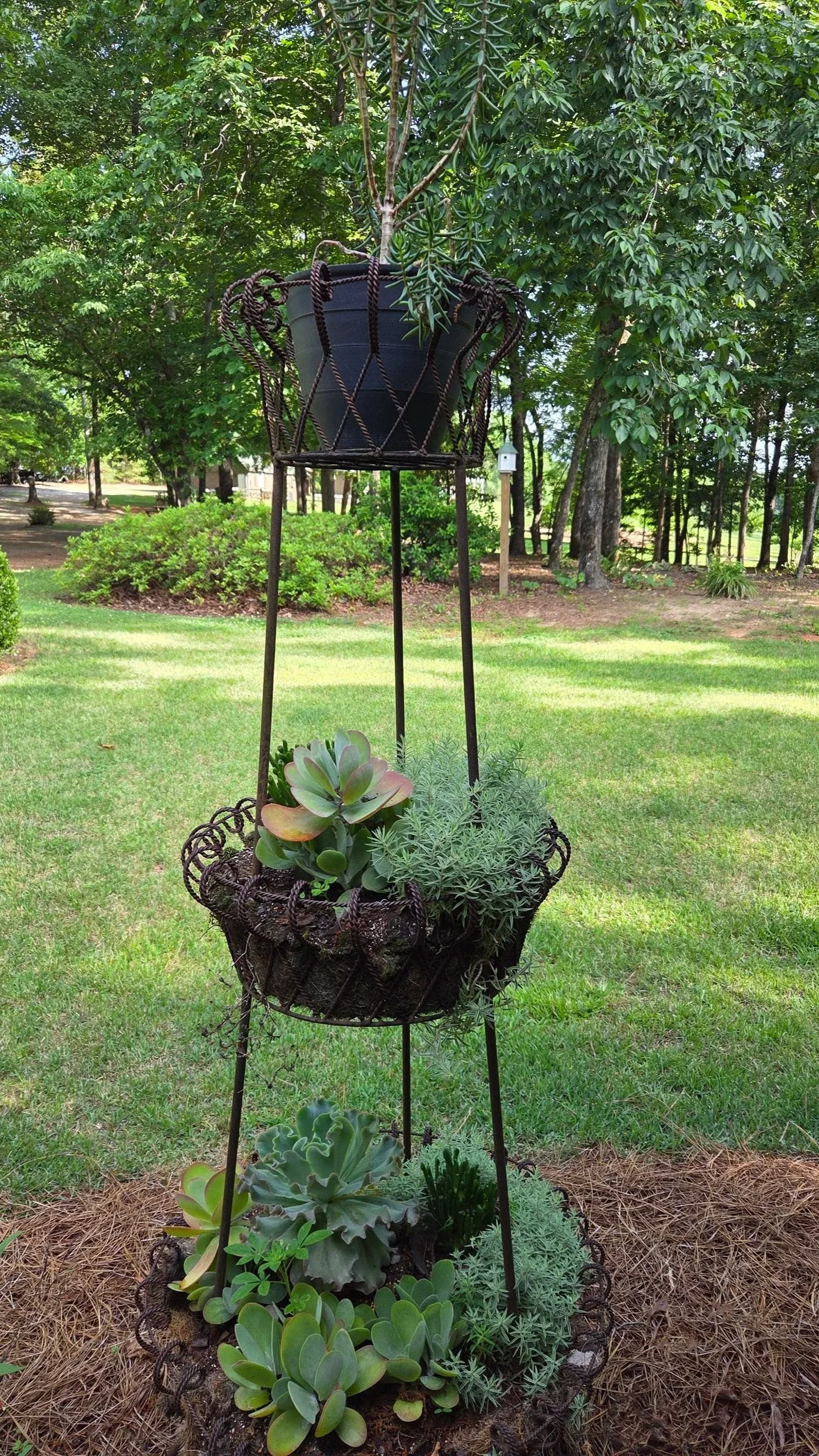 A three-level metal tower planted with succulents of assorted leaf forms