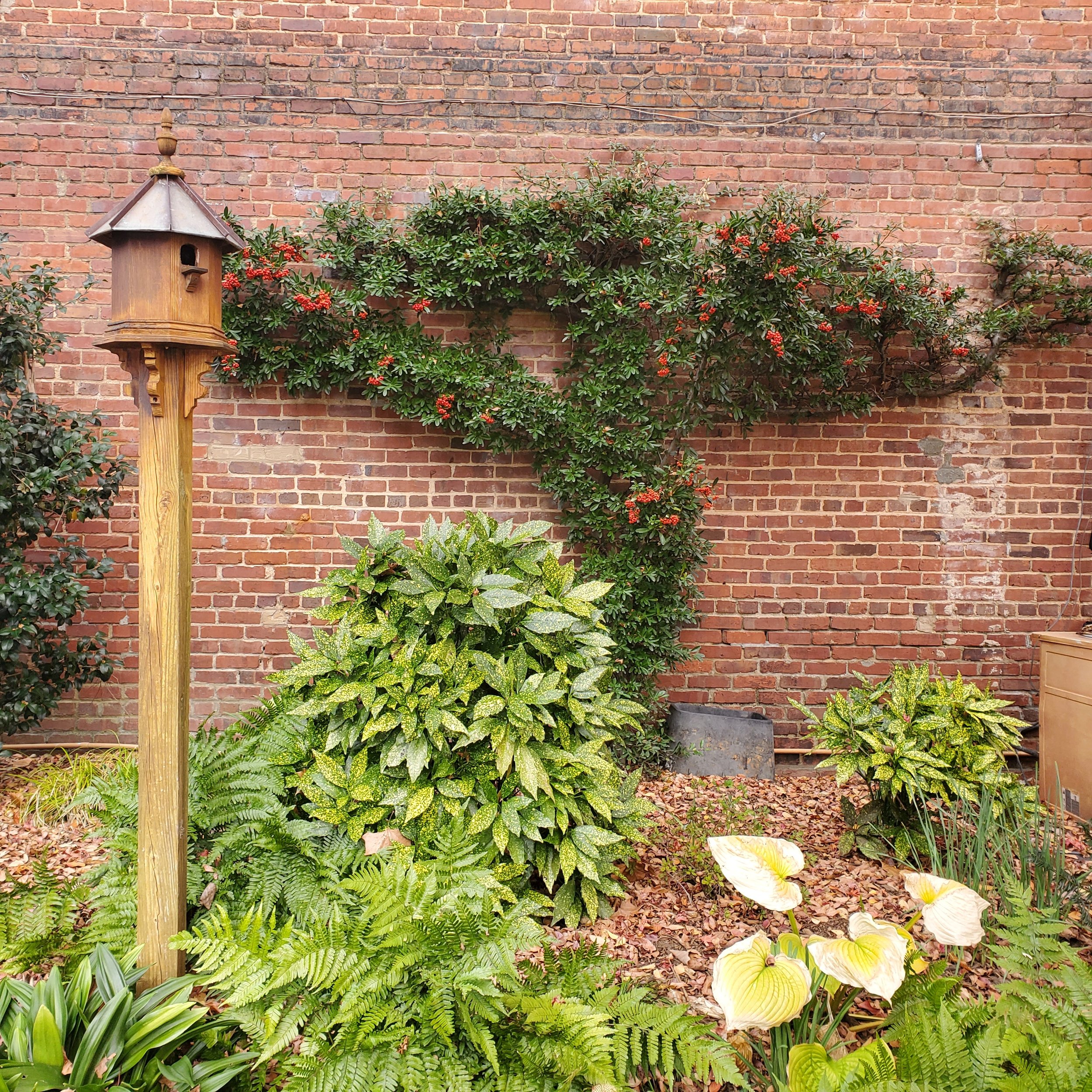 DIY Invisible Wire Trellis on a Brick Wall - Cotton Stem