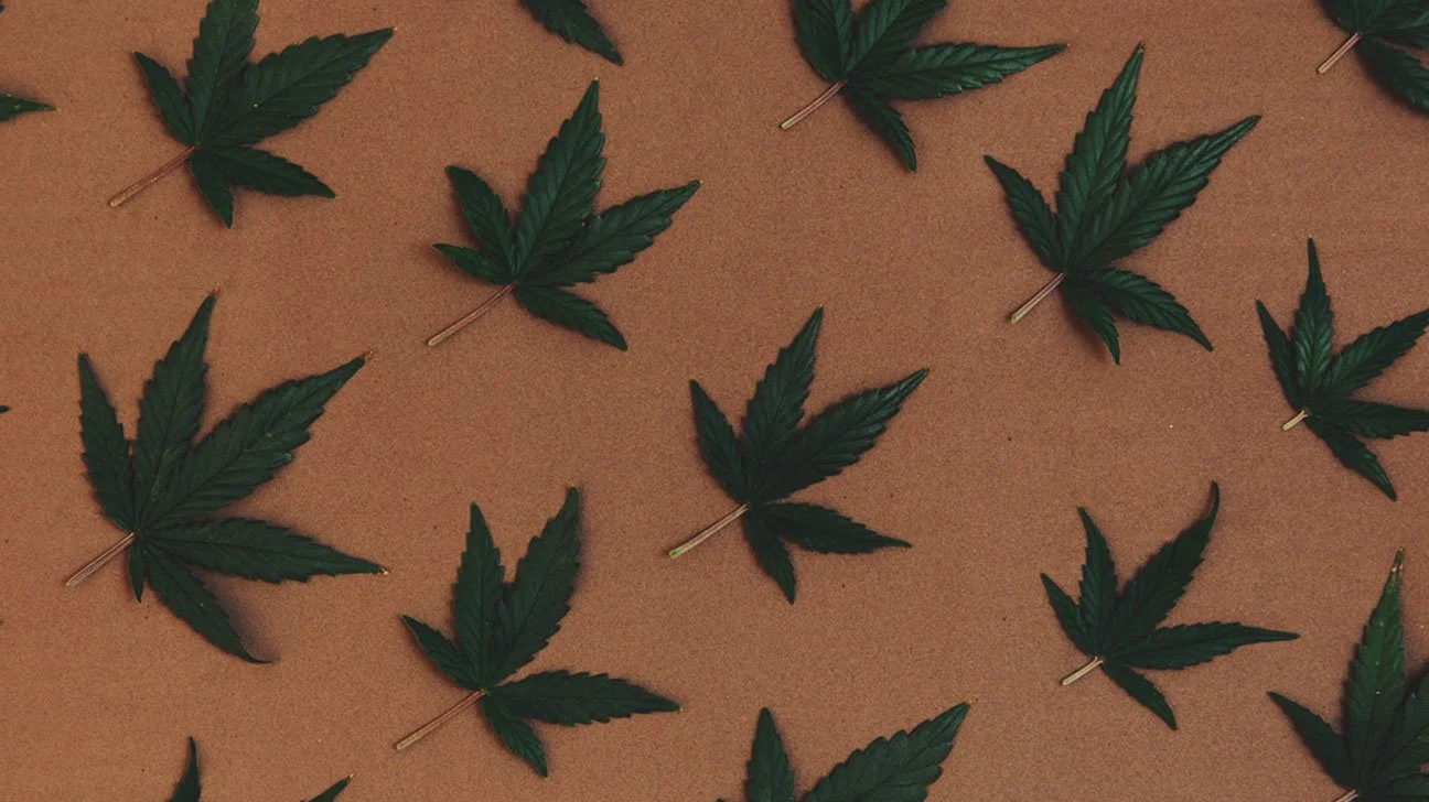 Cannabis Insurance: Policies Your Business Needs