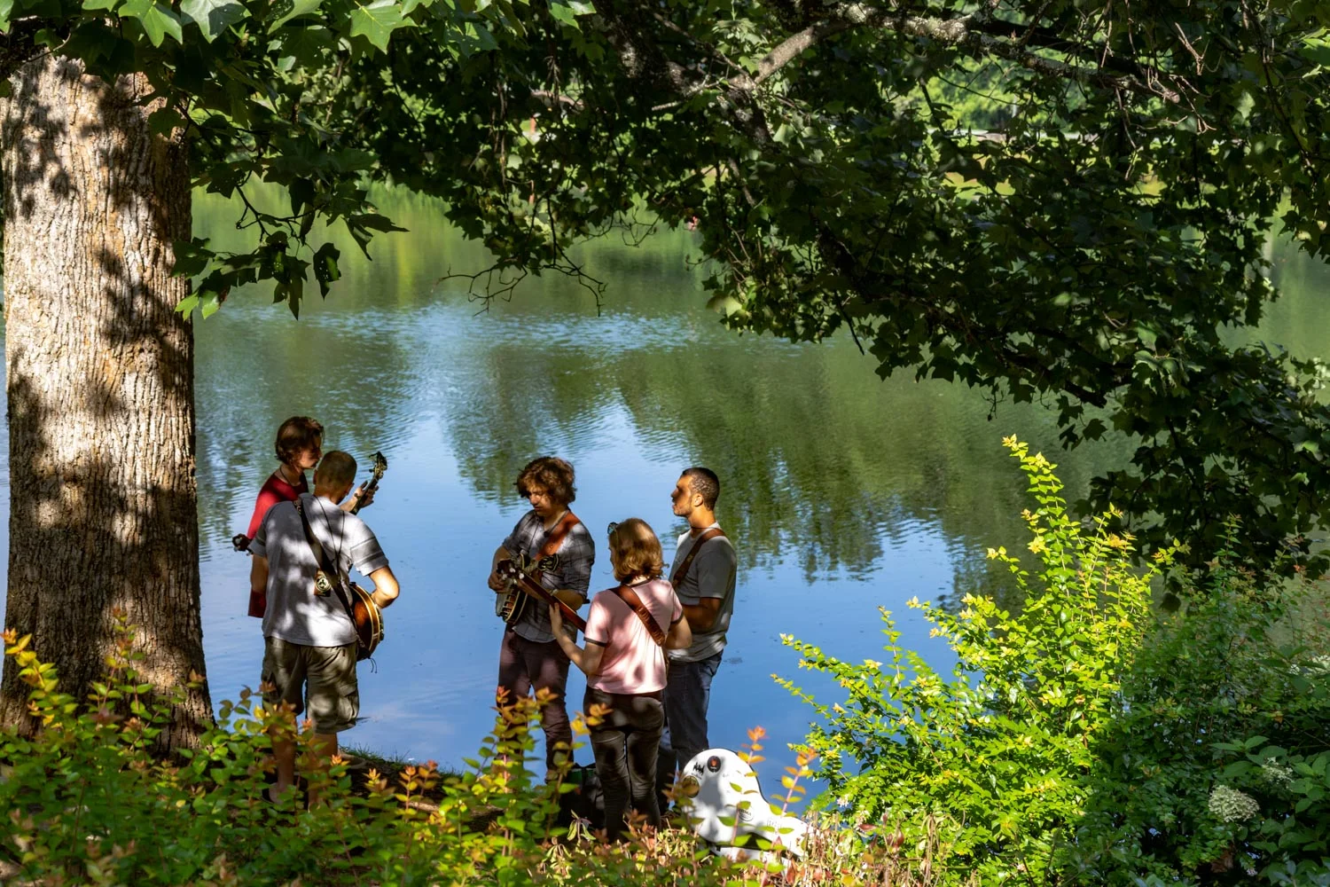 © 2018 Seyl Park. Béla Fleck's Blue Ridge Banjo Camp, Brevard, NC