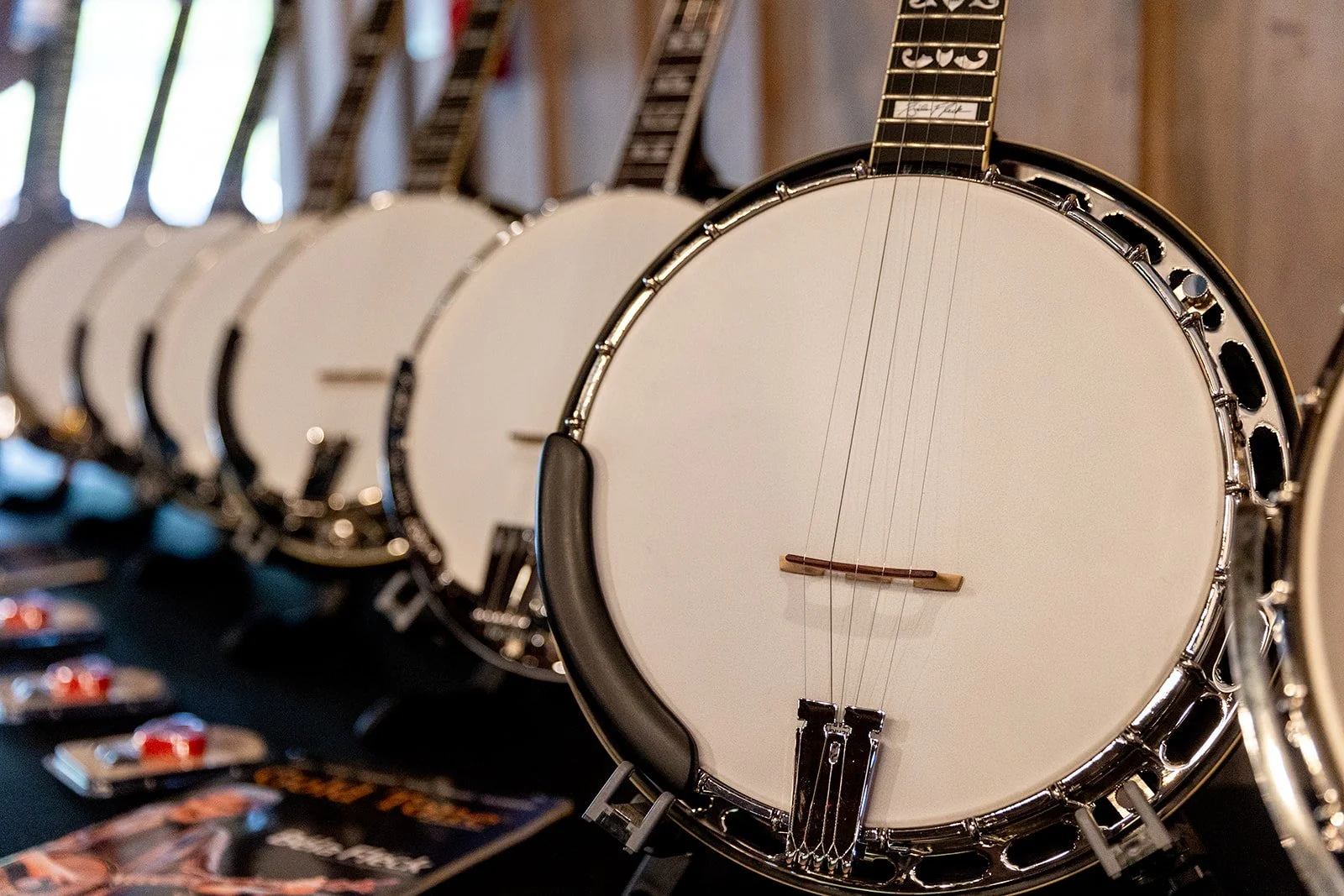 Faculty — Blue Ridge Banjo Camp