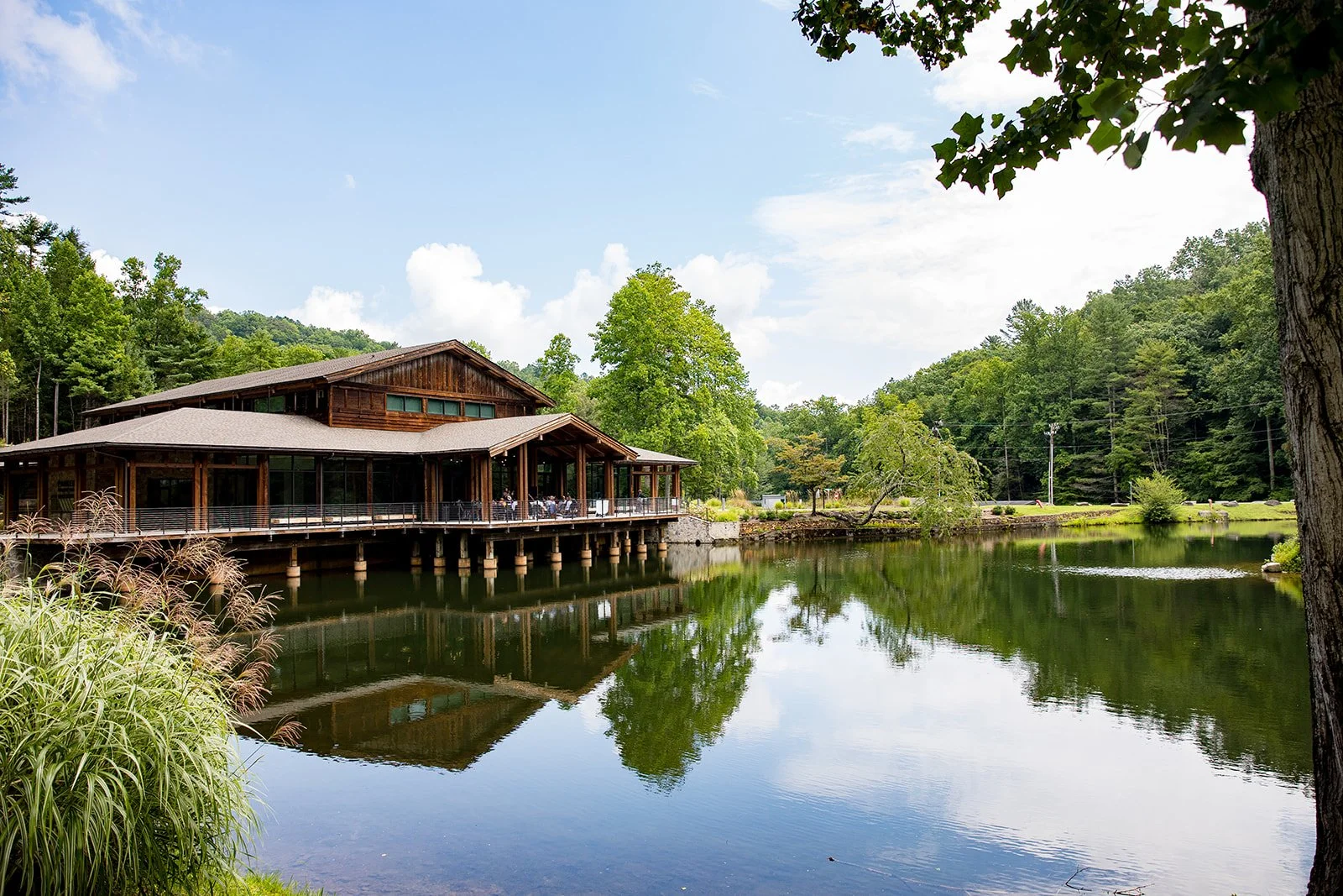 Blue Ridge Banjo Camp